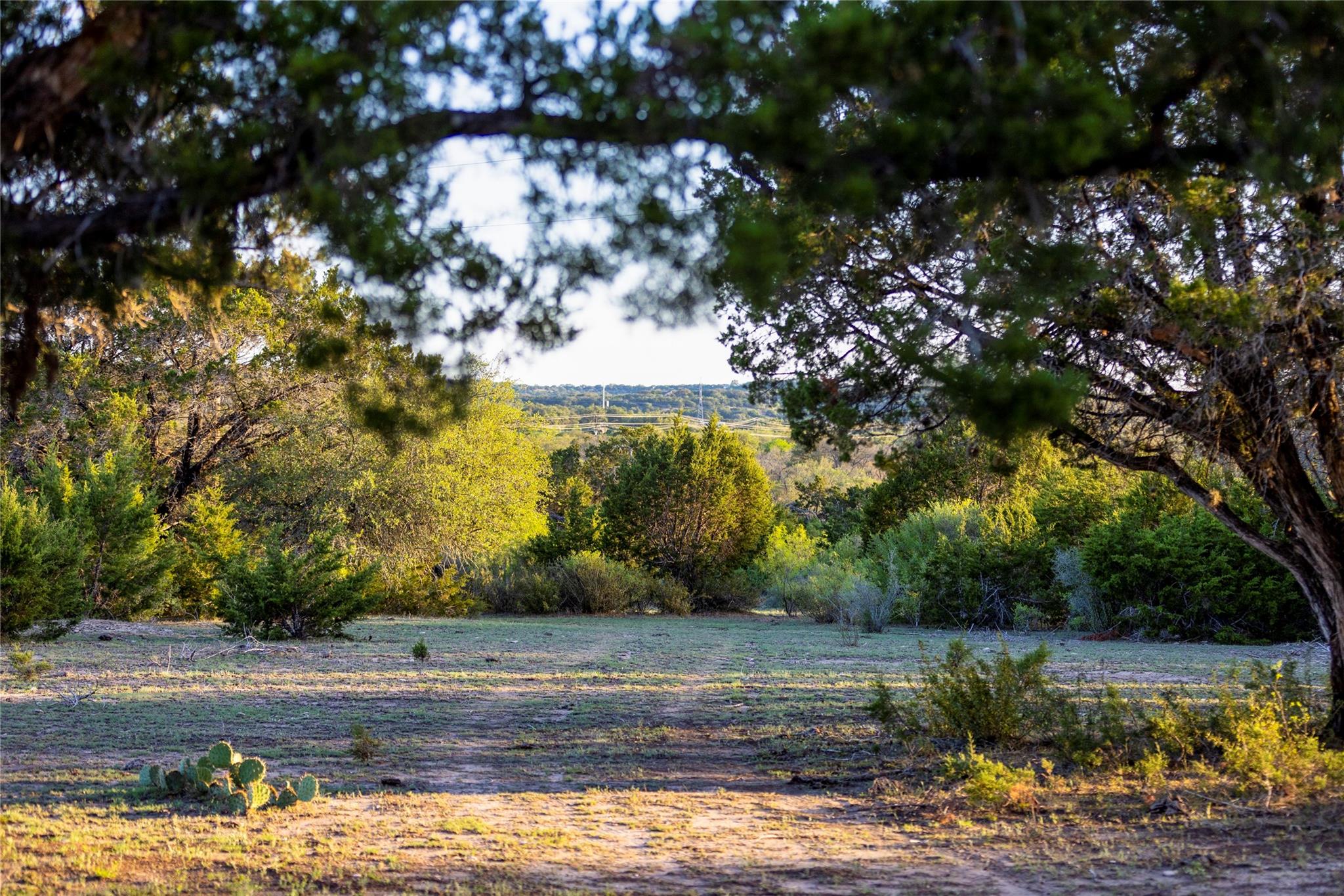 9939 County Road 404 None Property Photo 14