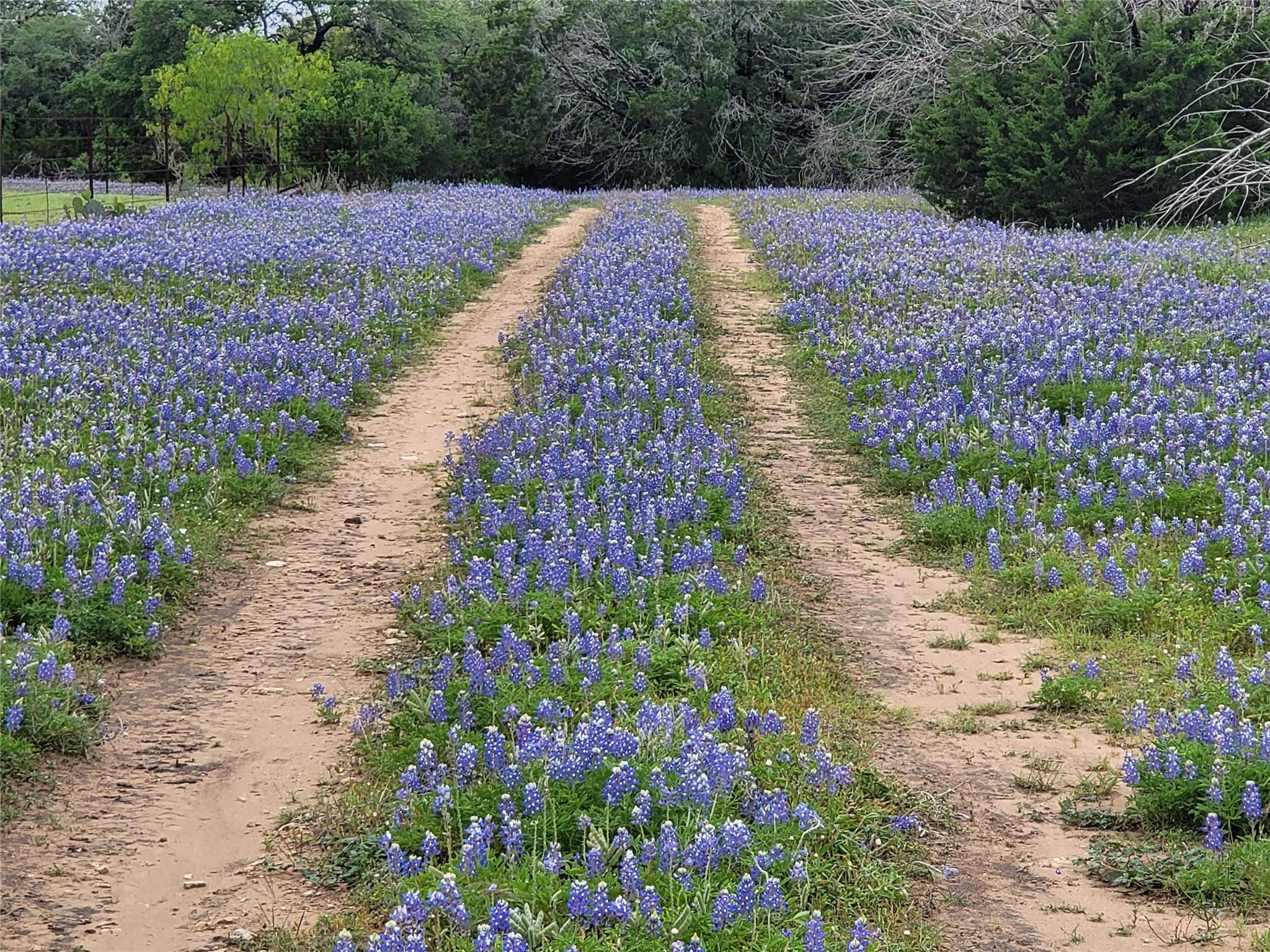 9939 County Road 404 None Property Photo 15