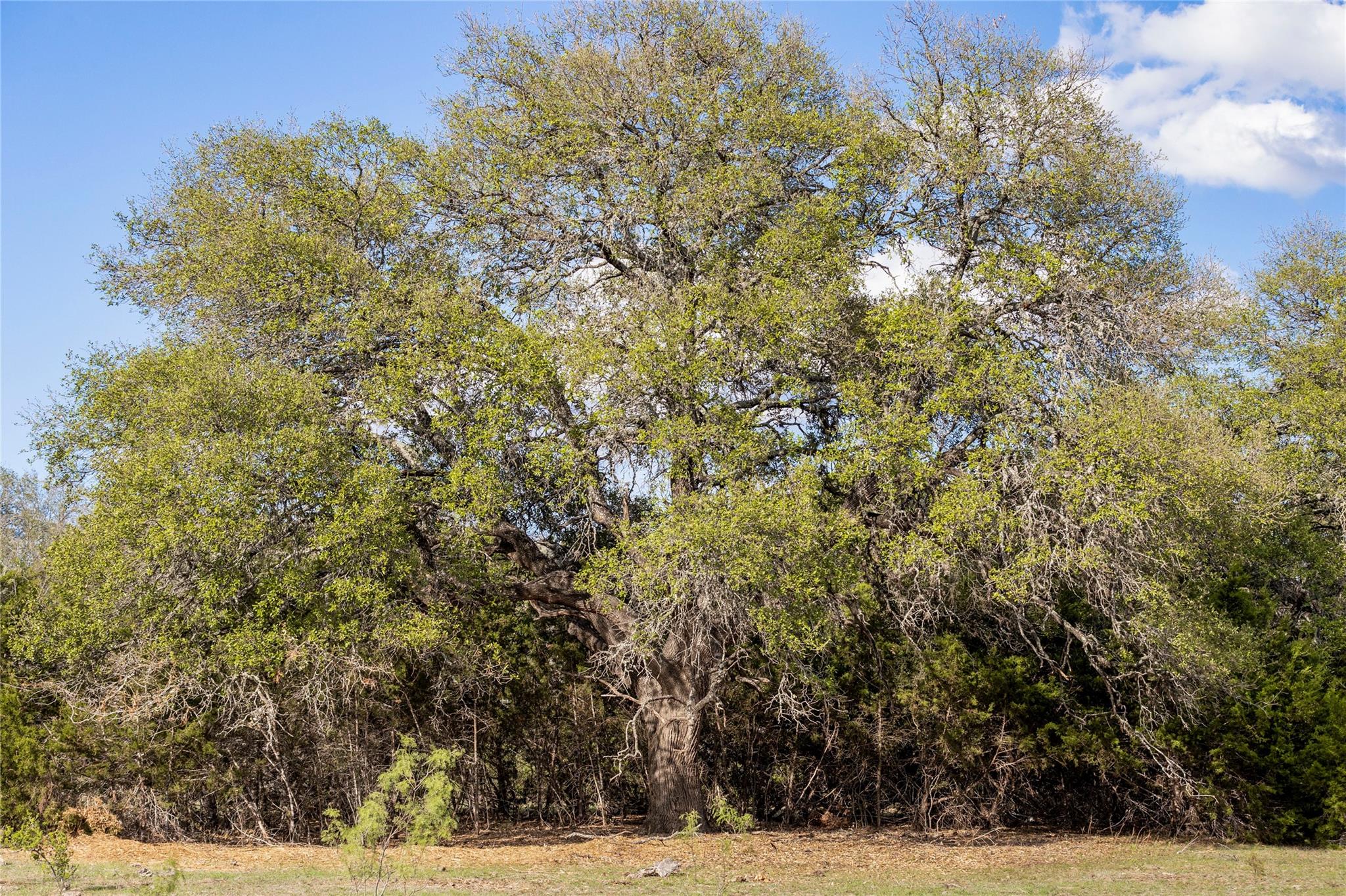 9939 County Road 404 None Property Photo 26