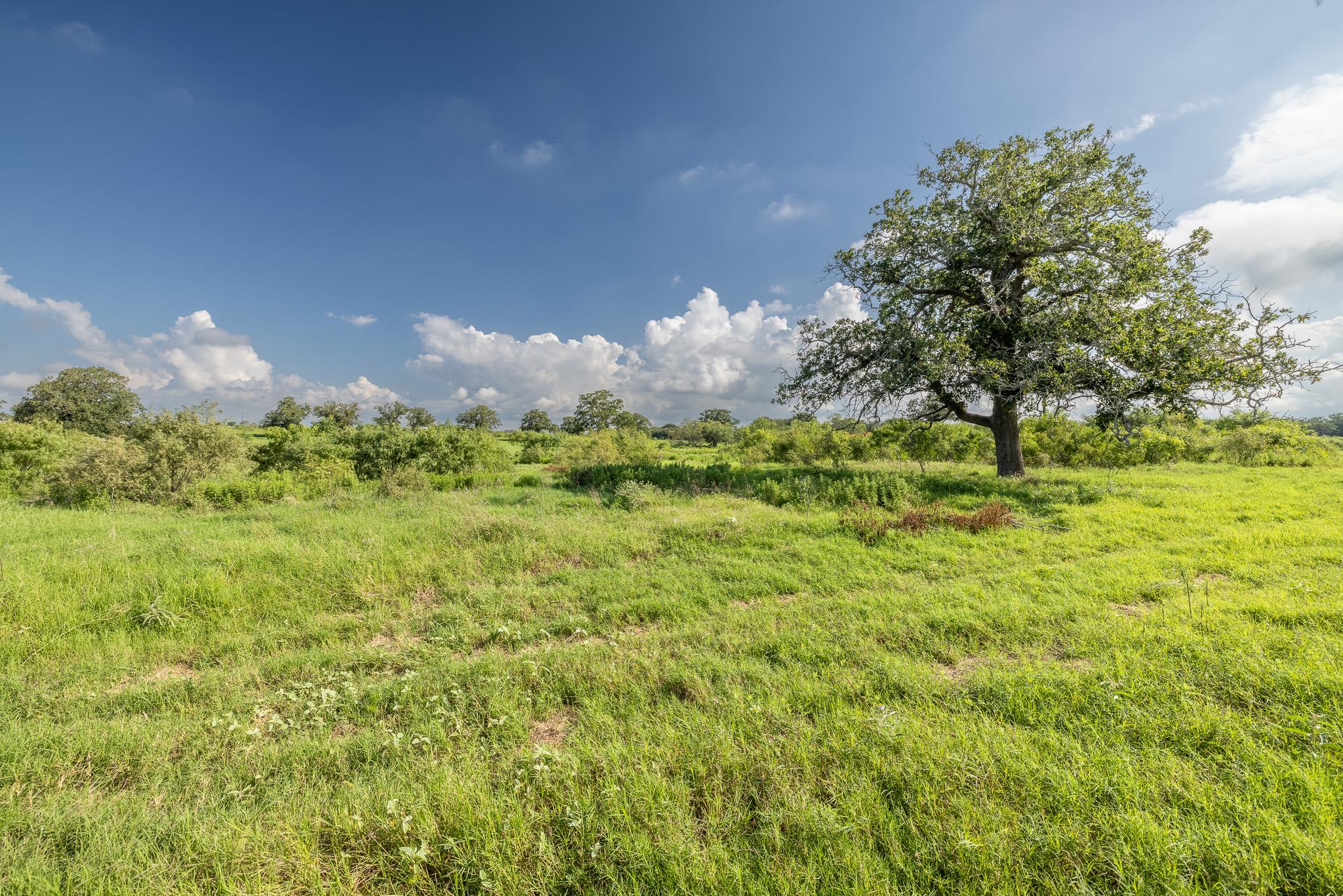 Lot 1-b County Road 491 Property Photo 1