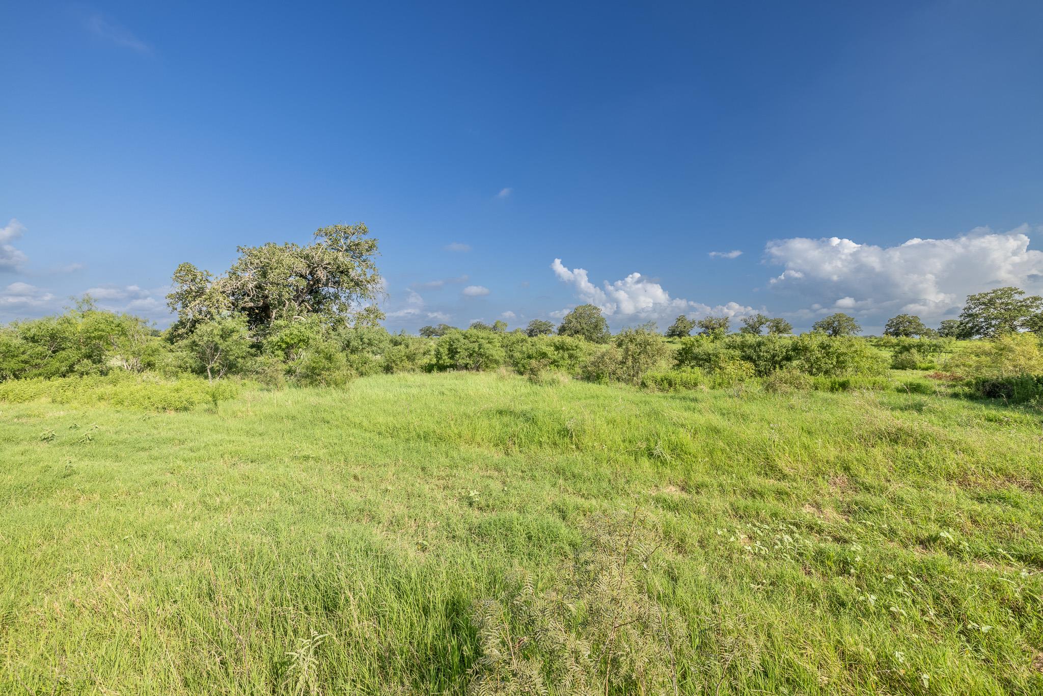Lot 1-b County Road 491 Property Photo 4