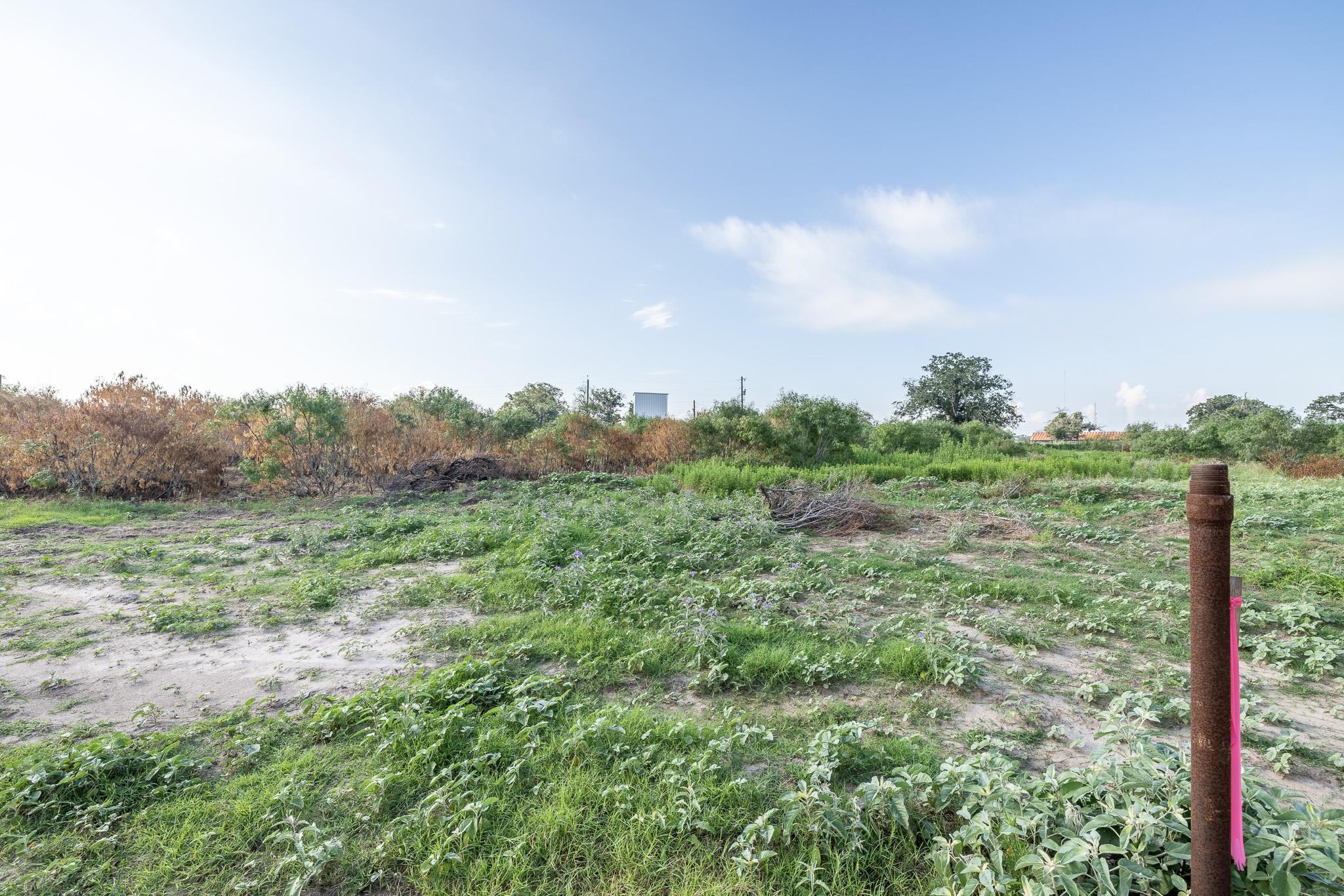 Lot 1-b County Road 491 Property Photo 7