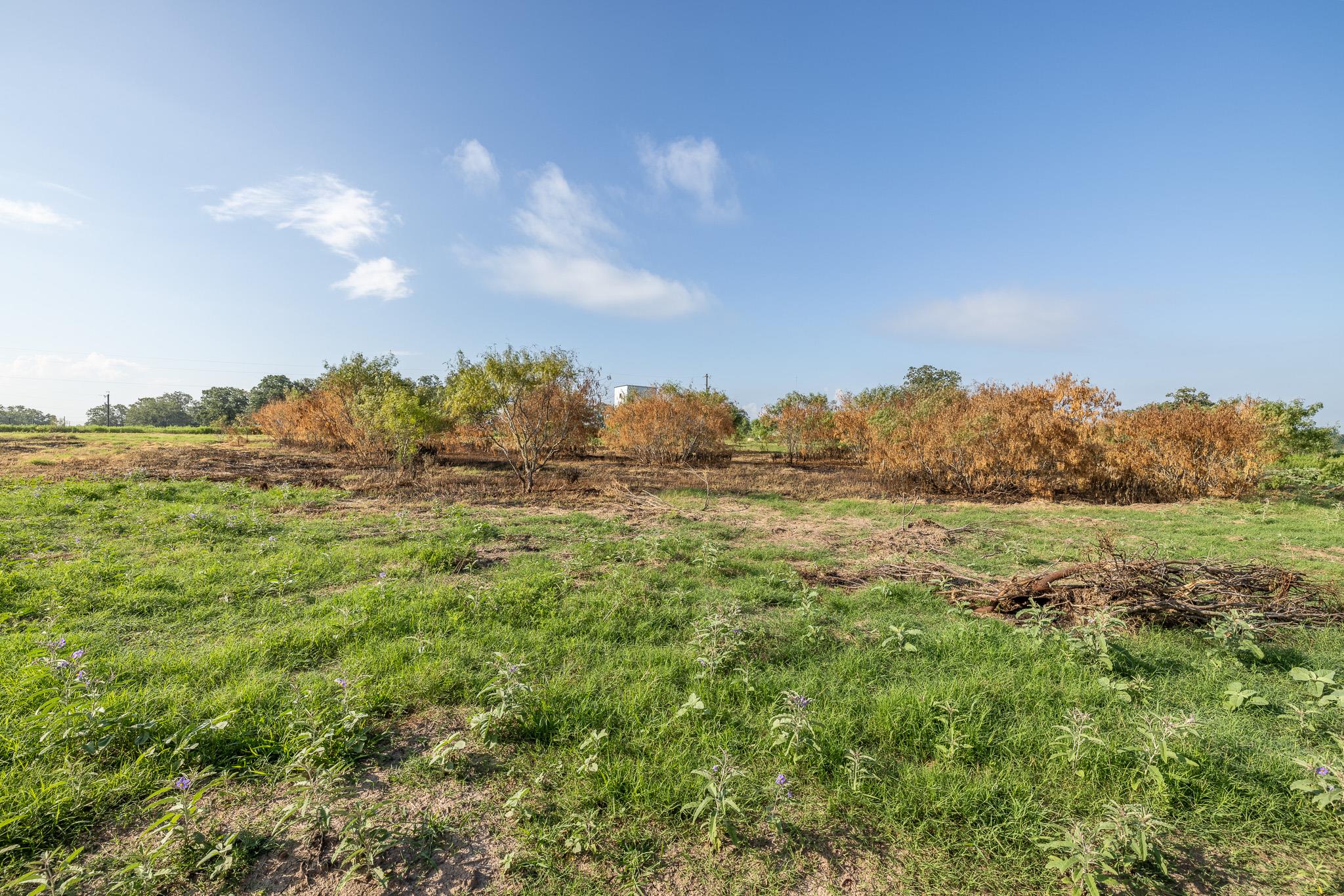 Lot 1-b County Road 491 Property Photo 8
