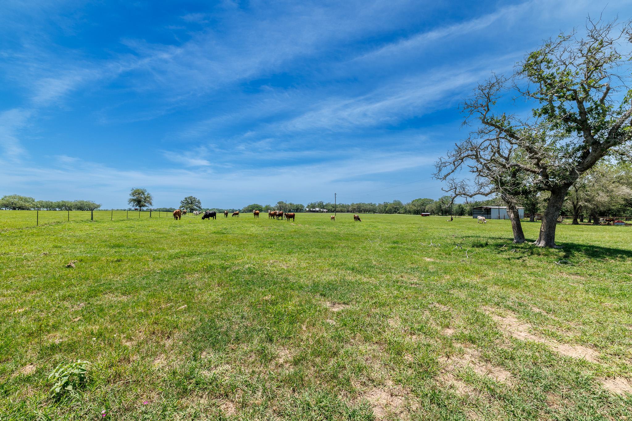 605 Fm 1682 None Property Photo 24