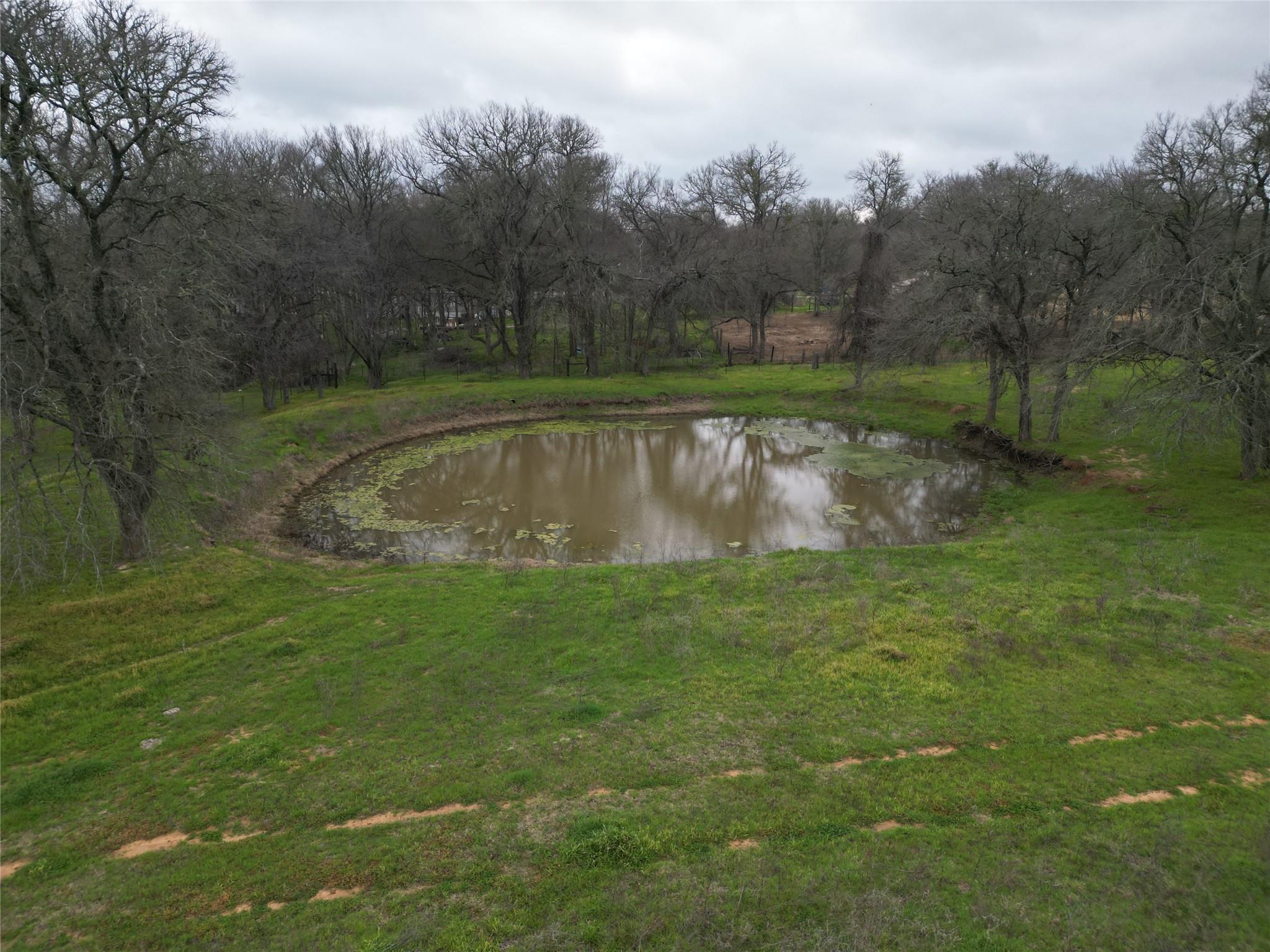 Tbd White Tail Dr Property Photo 4