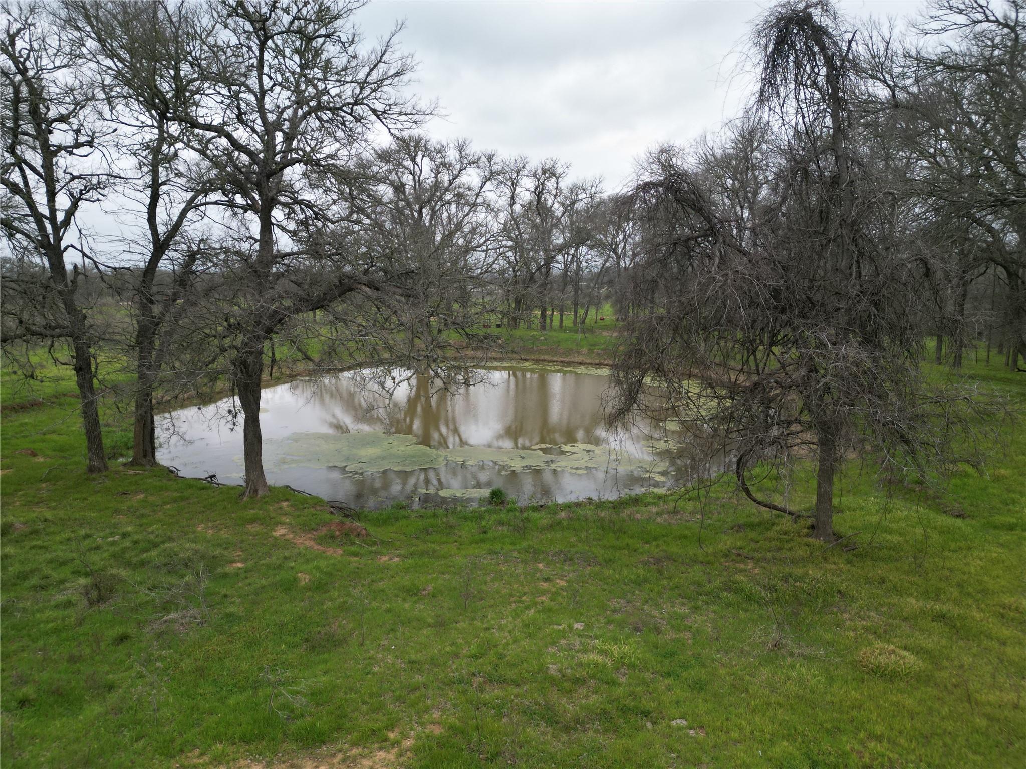 Tbd White Tail Dr Property Photo 5