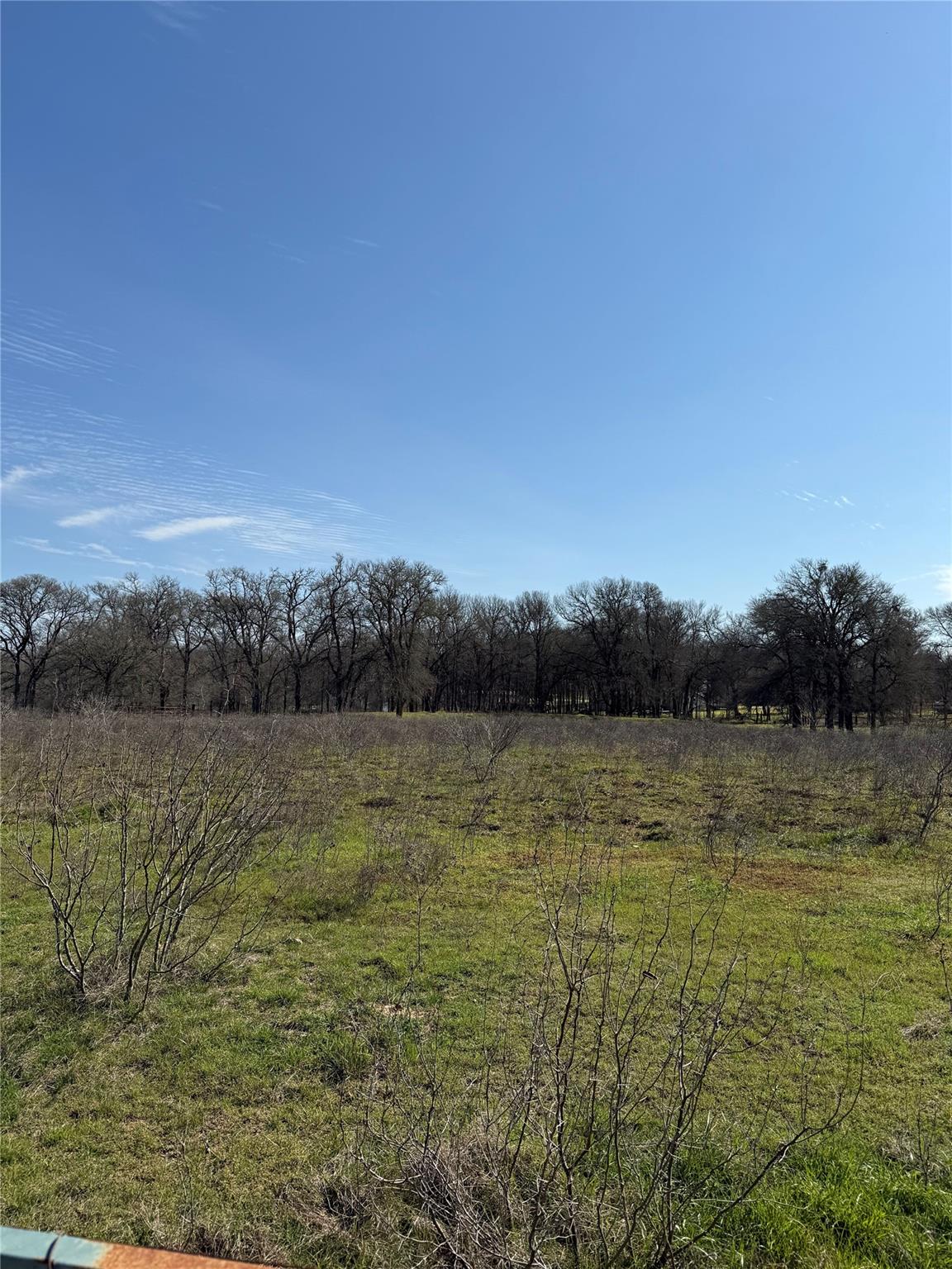 Tbd White Tail Dr Property Photo 7