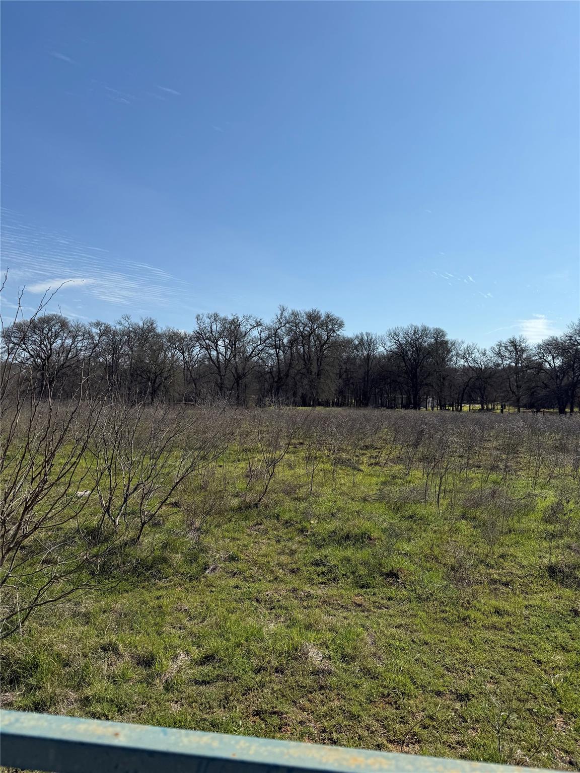 Tbd White Tail Dr Property Photo 9
