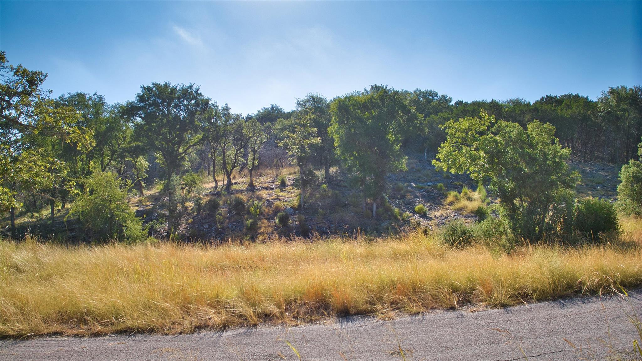 K12118 Buntline Special None Property Photo 2