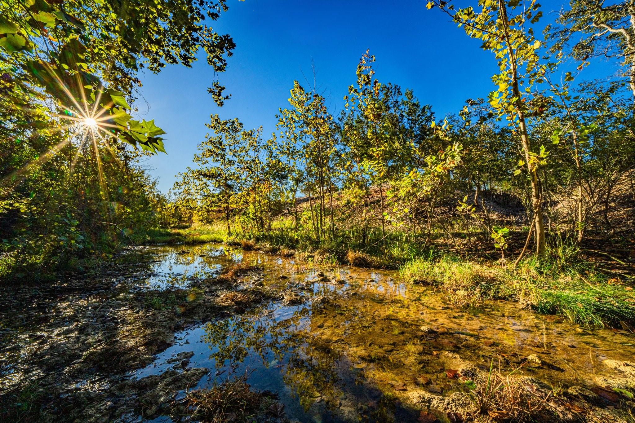 TBD FM 2843 None Property Photo 1
