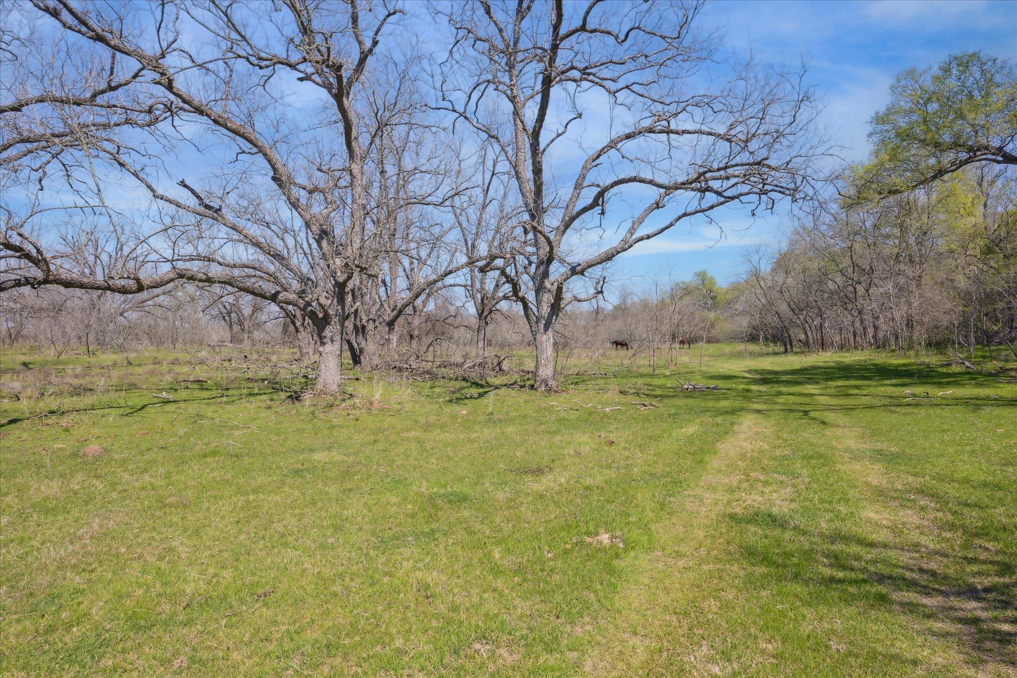 4975 E Highway 71 Highway Property Photo 8