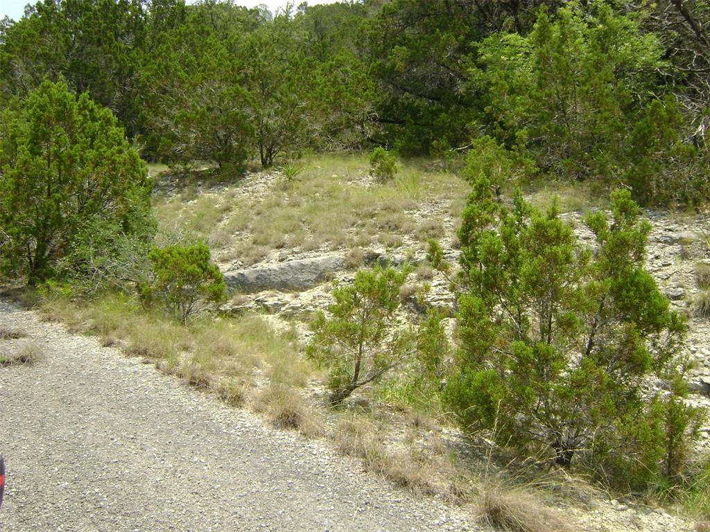 21207 Westward Ho Trl Property Photo 4