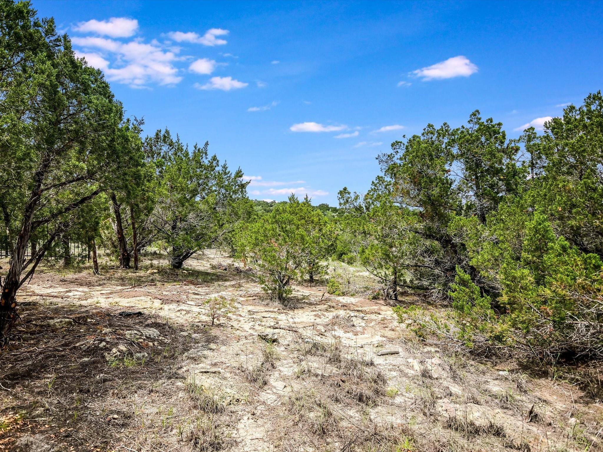 18200 Cedar Sage Ct Property Photo 11