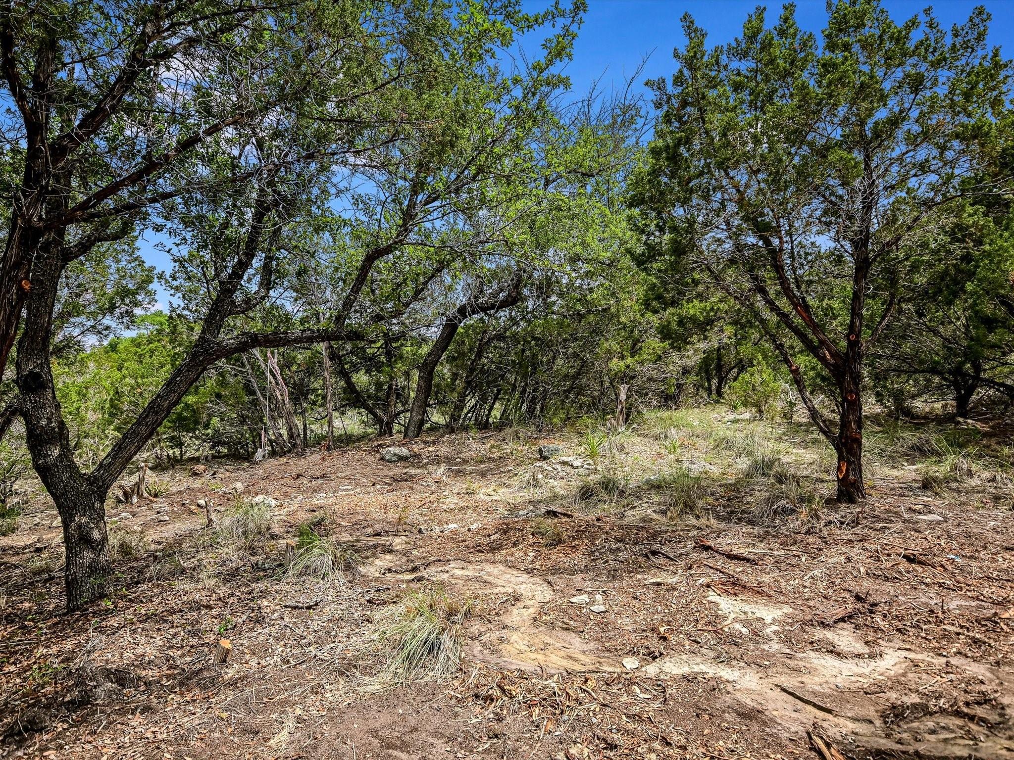 18200 Cedar Sage Ct Property Photo 13