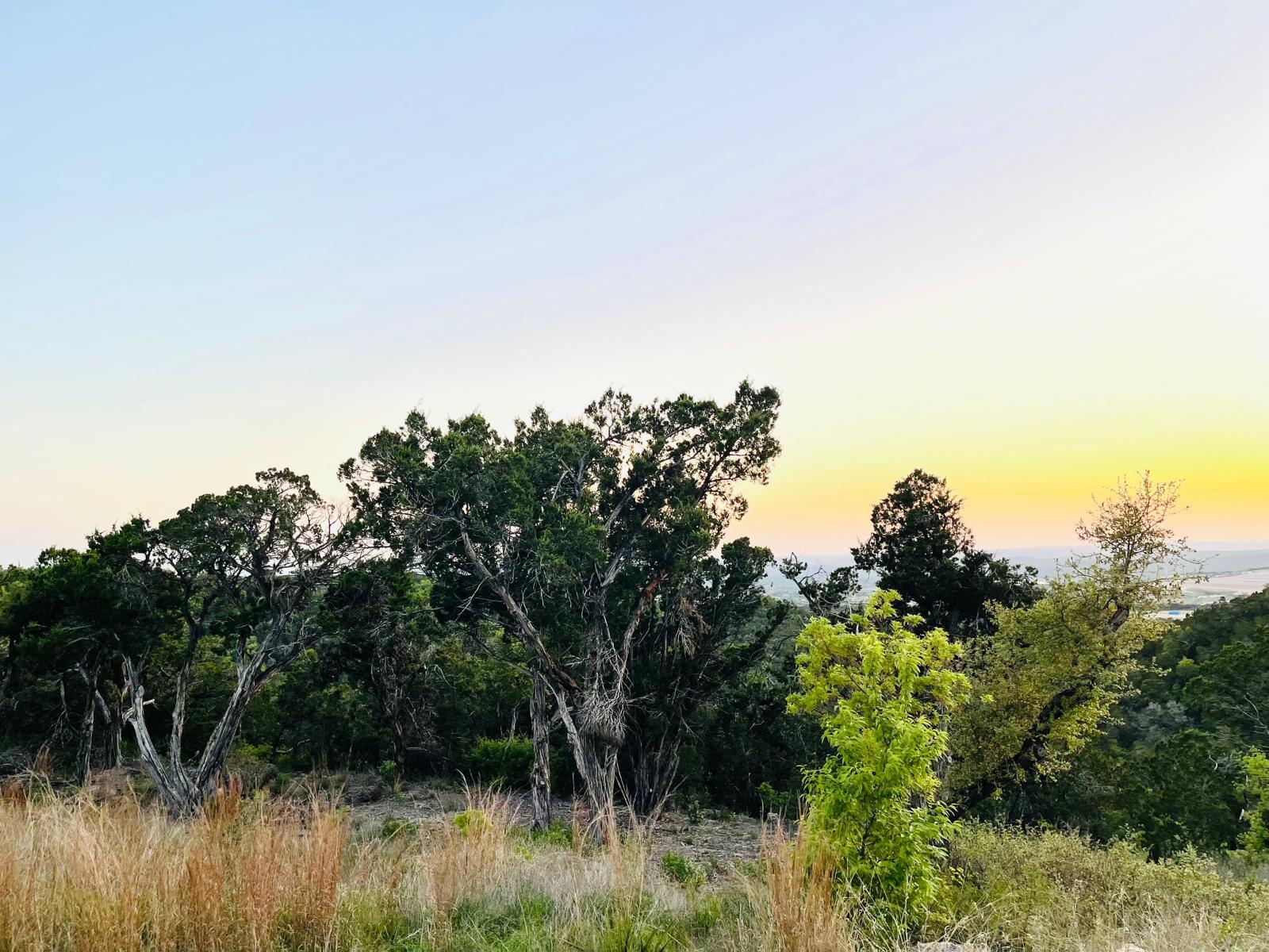 21305 & 21307 White Cloud Cv Property Photo 11