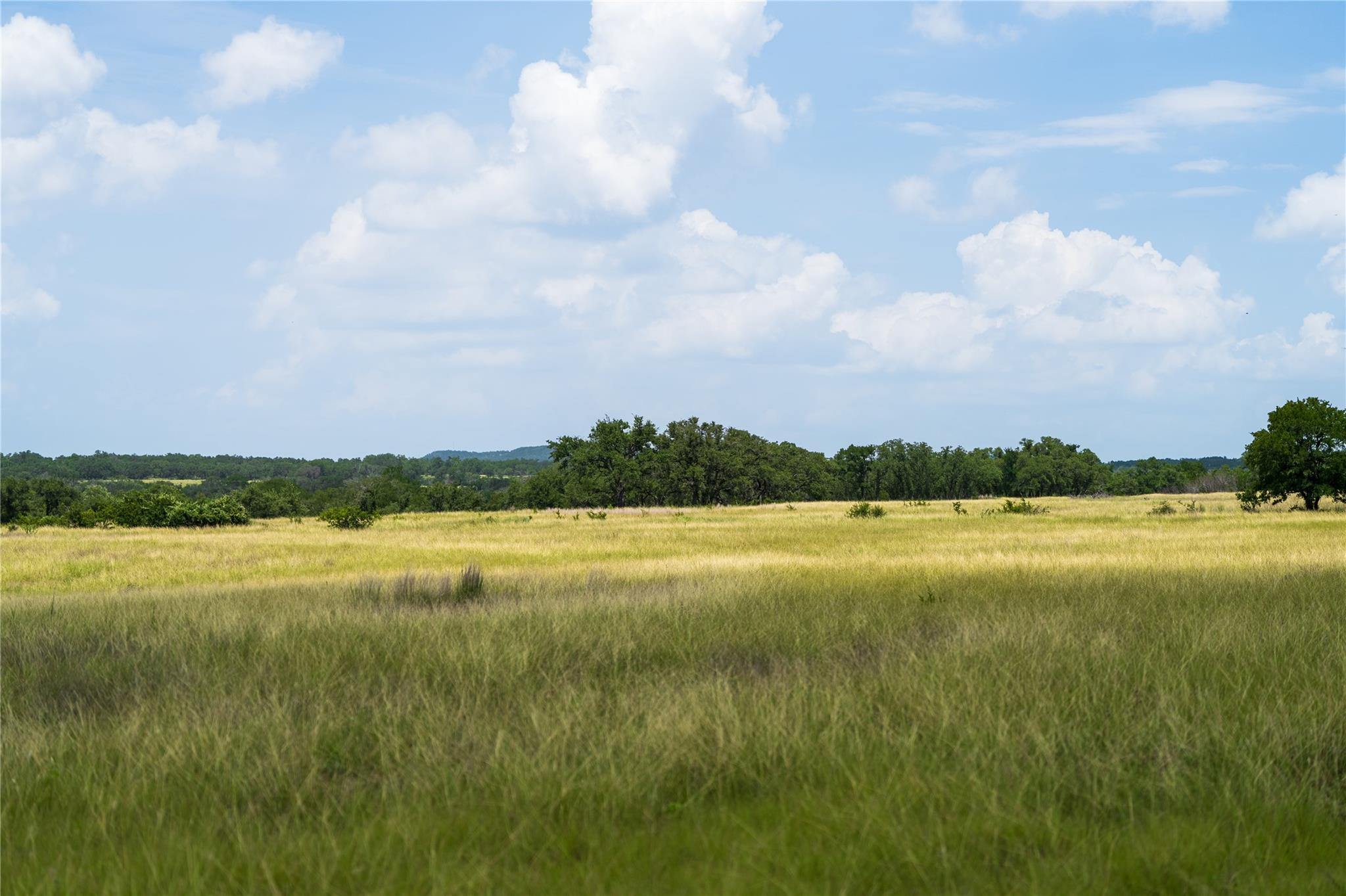 3979 Chimney Valley Rd Property Photo 2