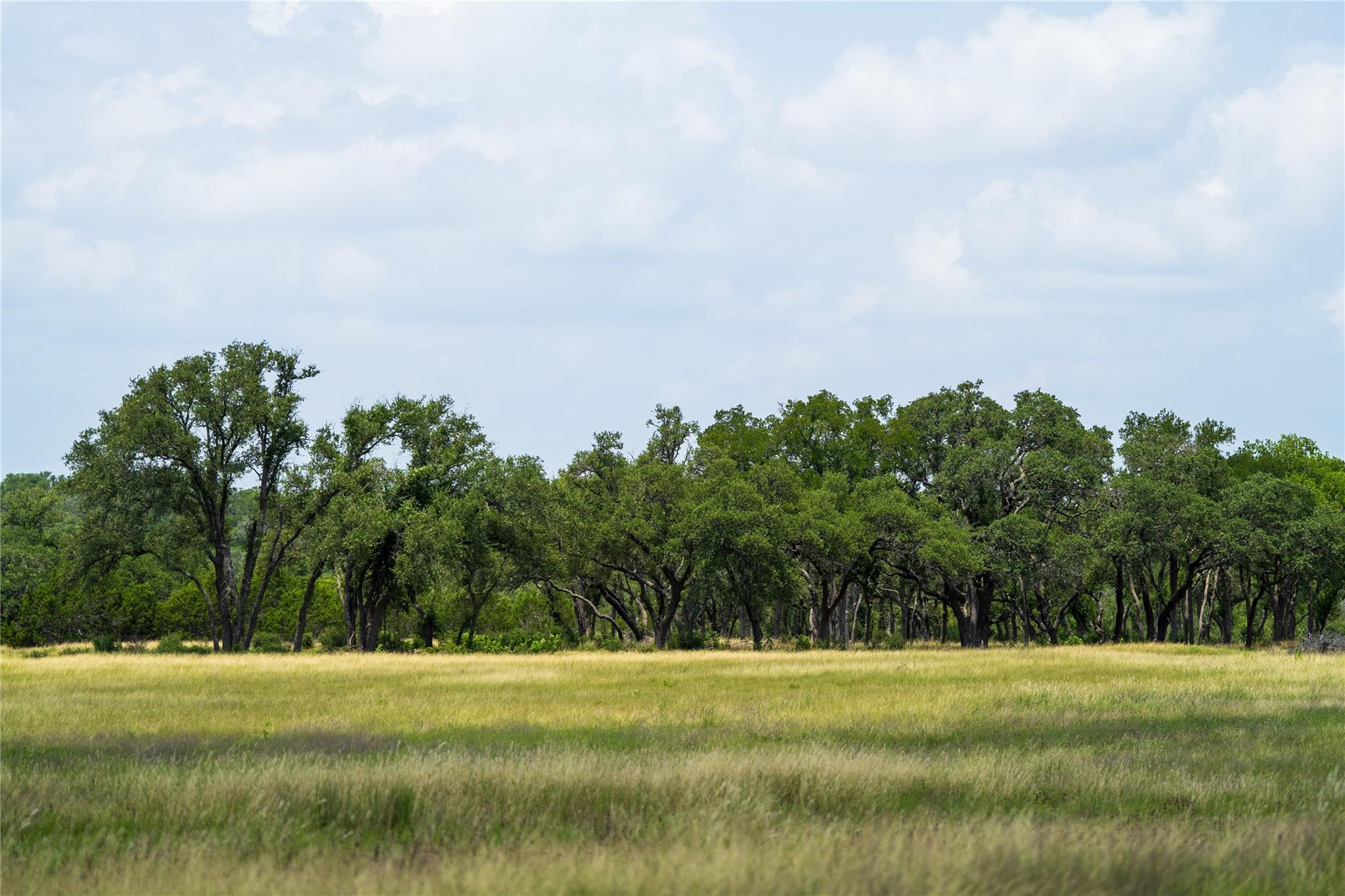 3979 Chimney Valley Rd Property Photo 3