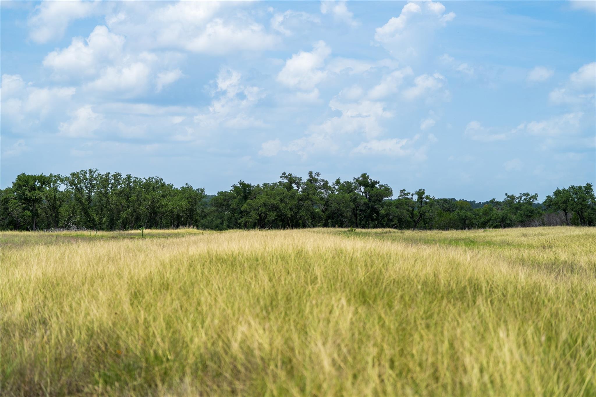 3979 Chimney Valley Rd Property Photo 5