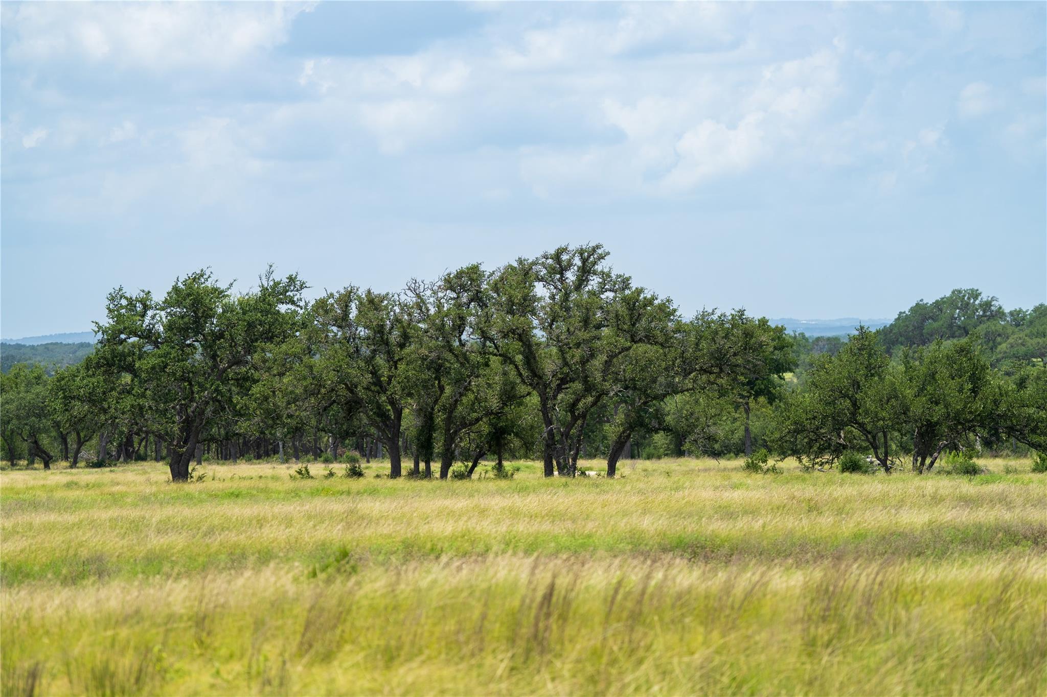 3979 Chimney Valley Rd Property Photo 6