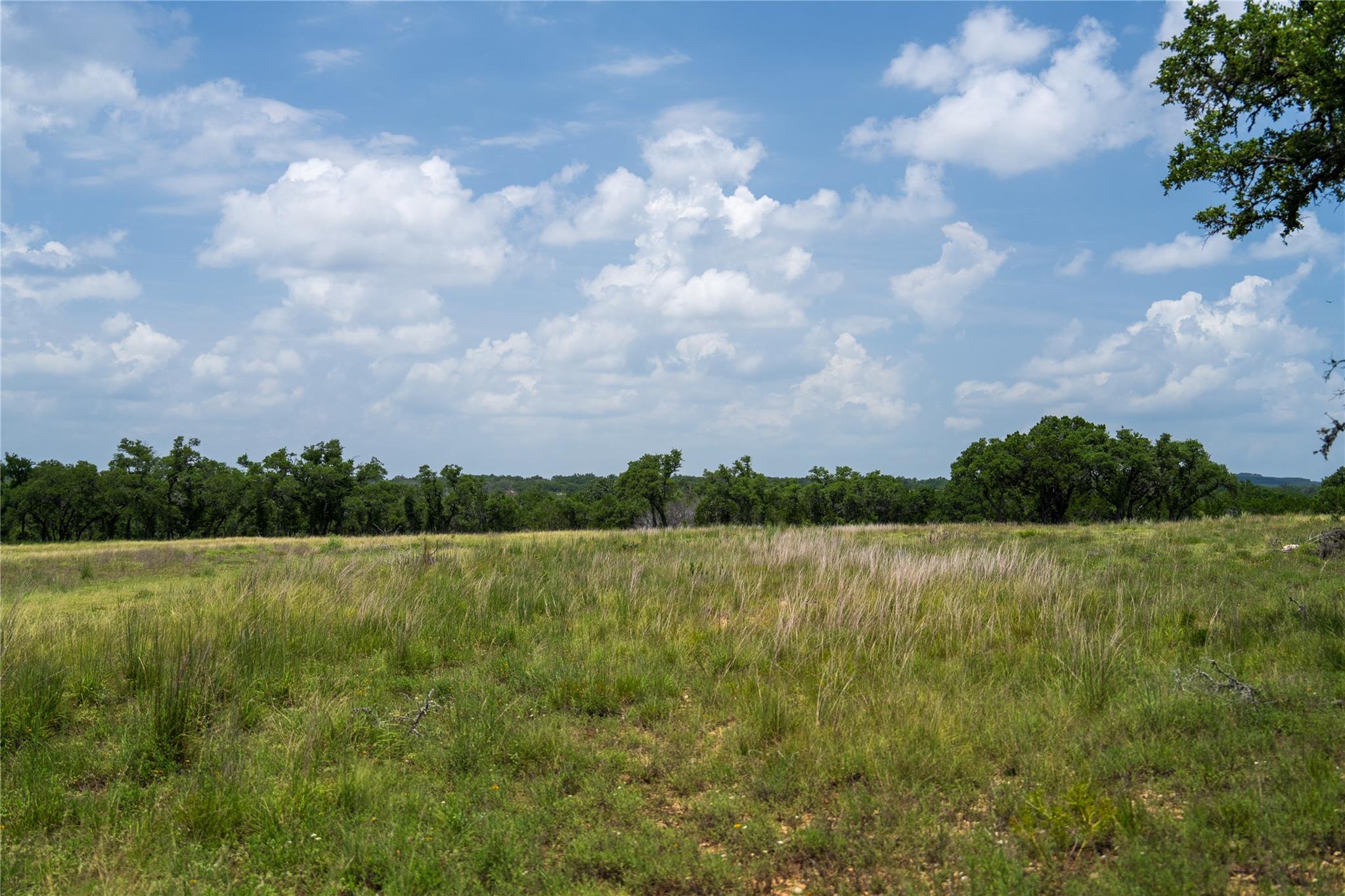 3979 Chimney Valley Rd Property Photo 7