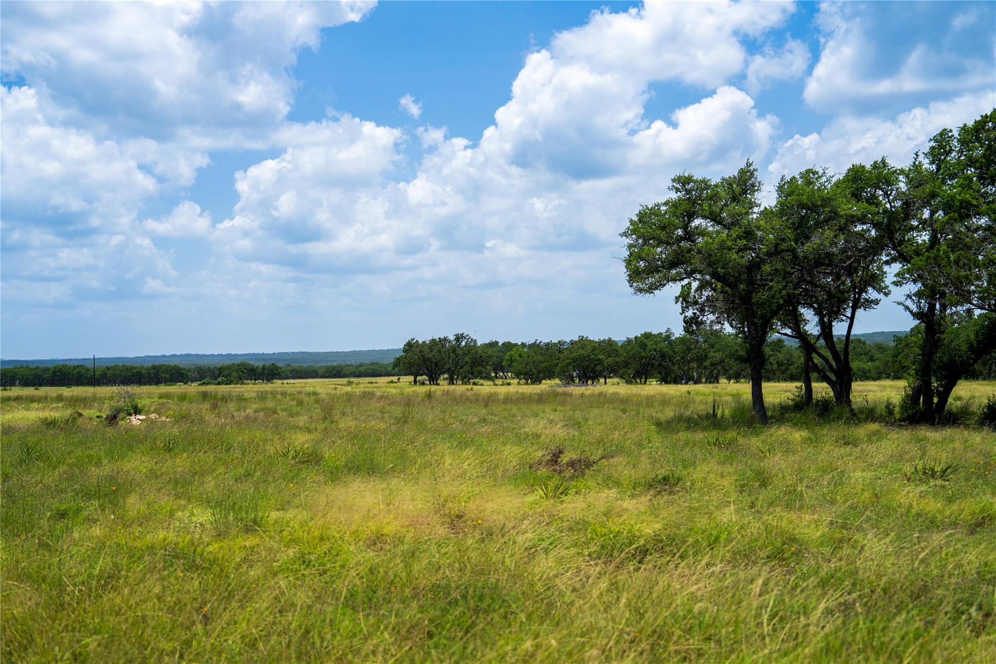 3979 Chimney Valley Rd Property Photo 8