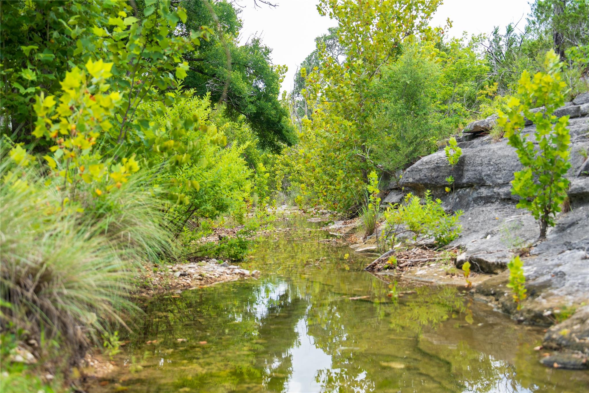 3979 Chimney Valley Rd Property Photo 9