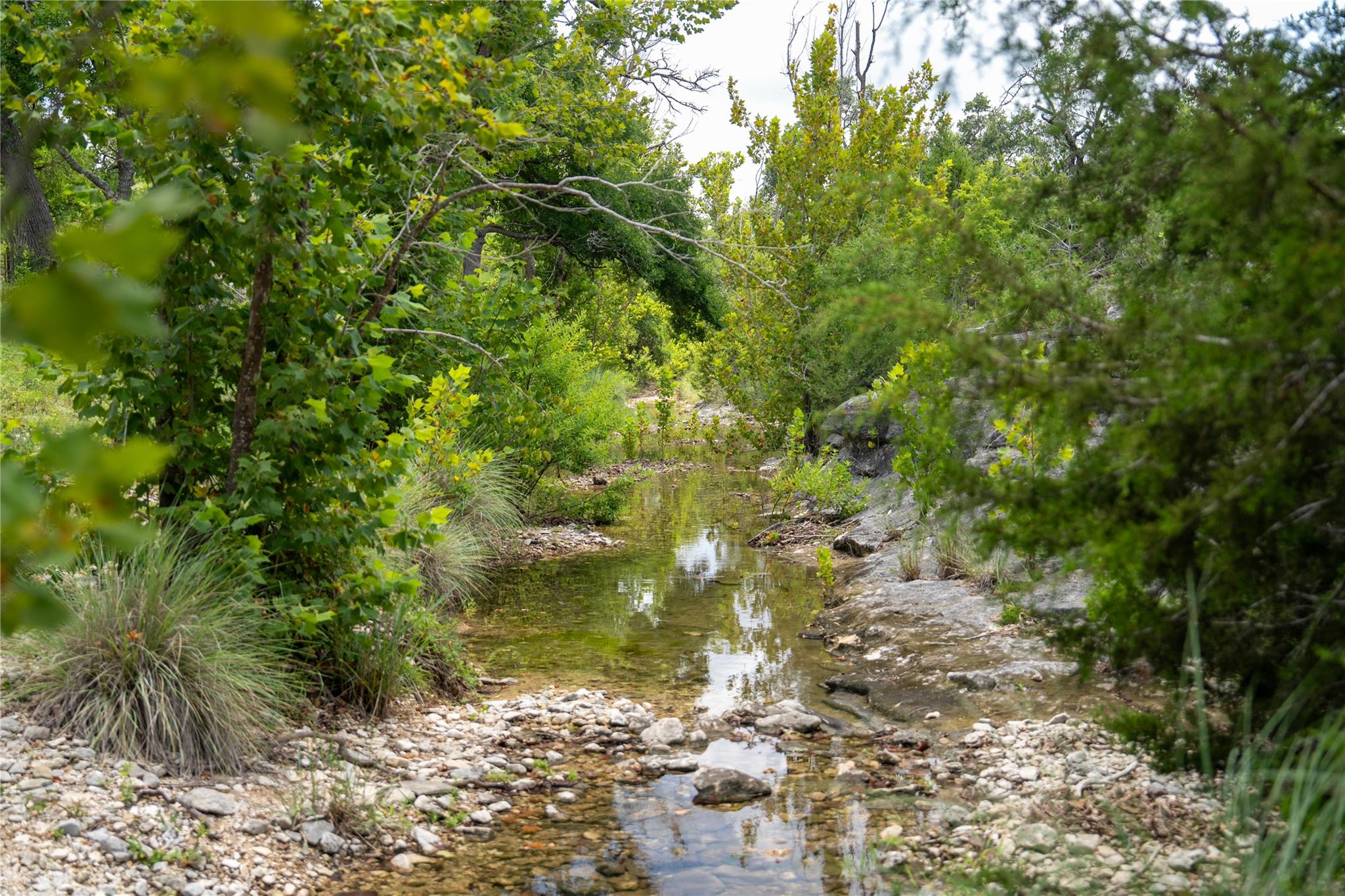 3979 Chimney Valley Rd Property Photo 10
