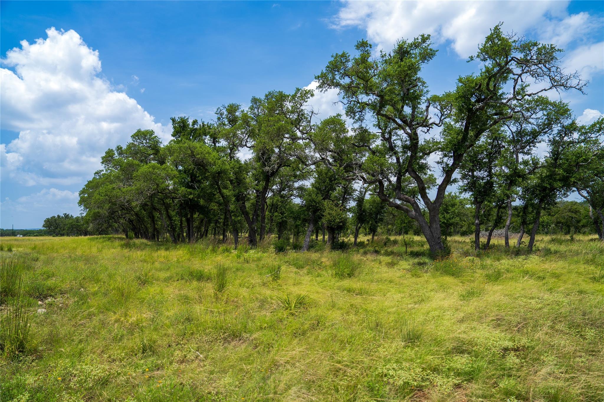 3979 Chimney Valley Rd Property Photo 16