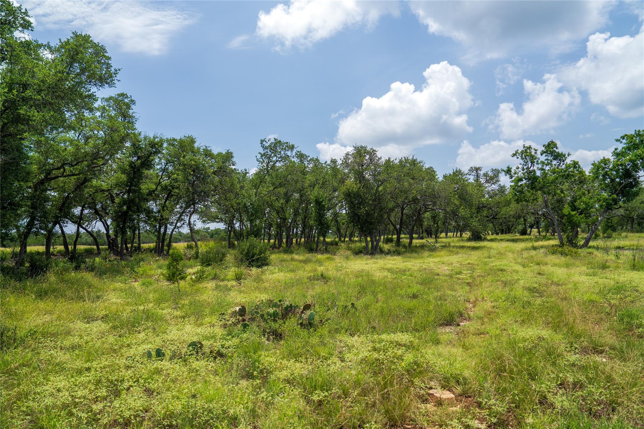 3979 Chimney Valley Rd Property Photo 17