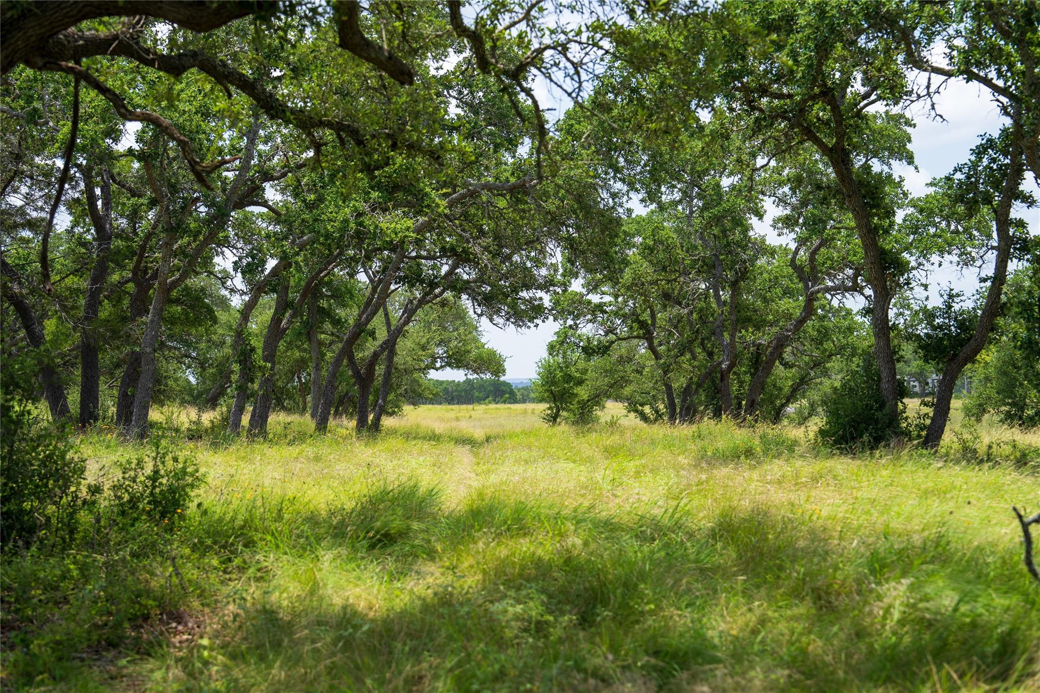 3979 Chimney Valley Rd Property Photo 18