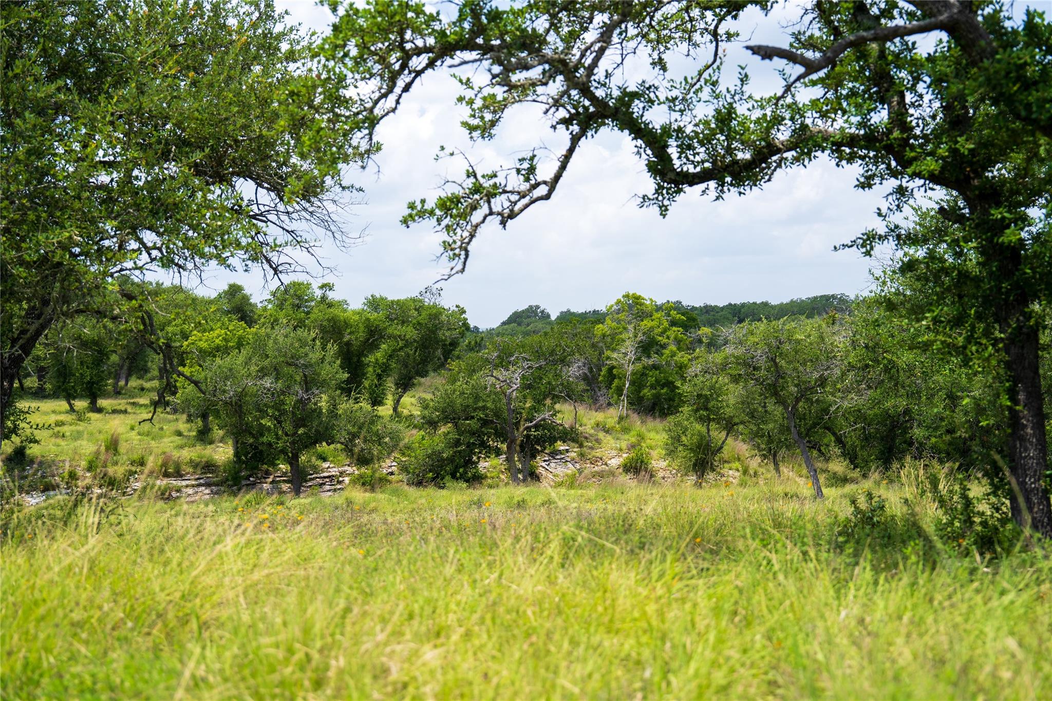 3979 Chimney Valley Rd Property Photo 19