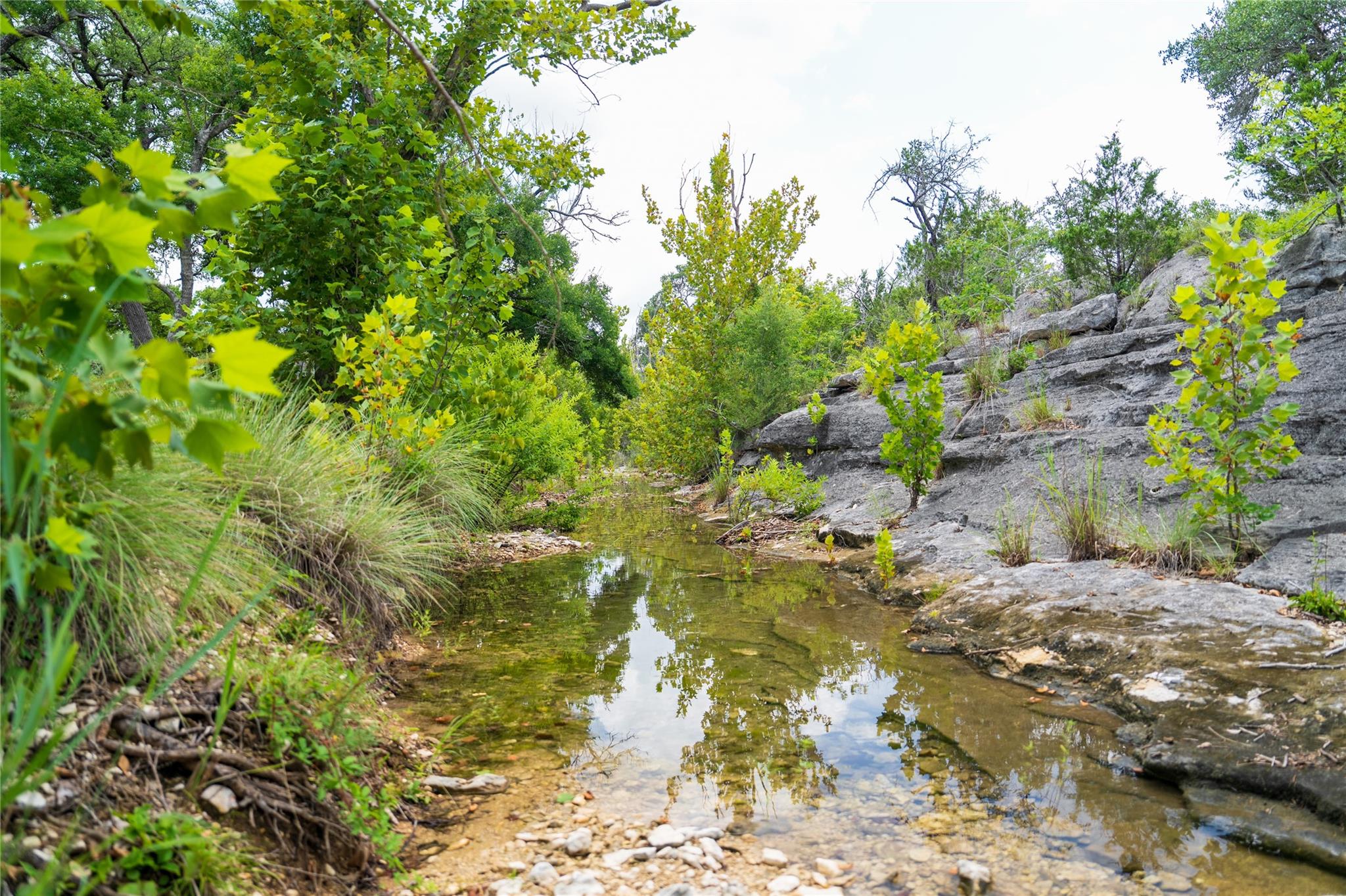 3979 Chimney Valley Rd Property Photo 23