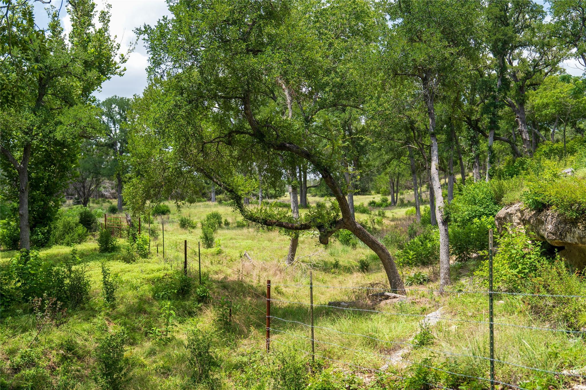 3979 Chimney Valley Rd Property Photo 25