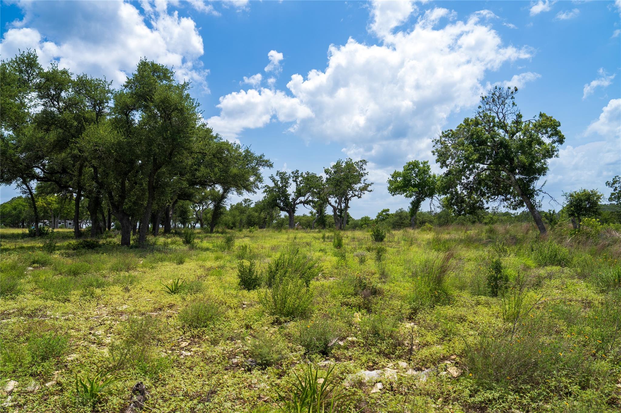 3979 Chimney Valley Rd Property Photo 28