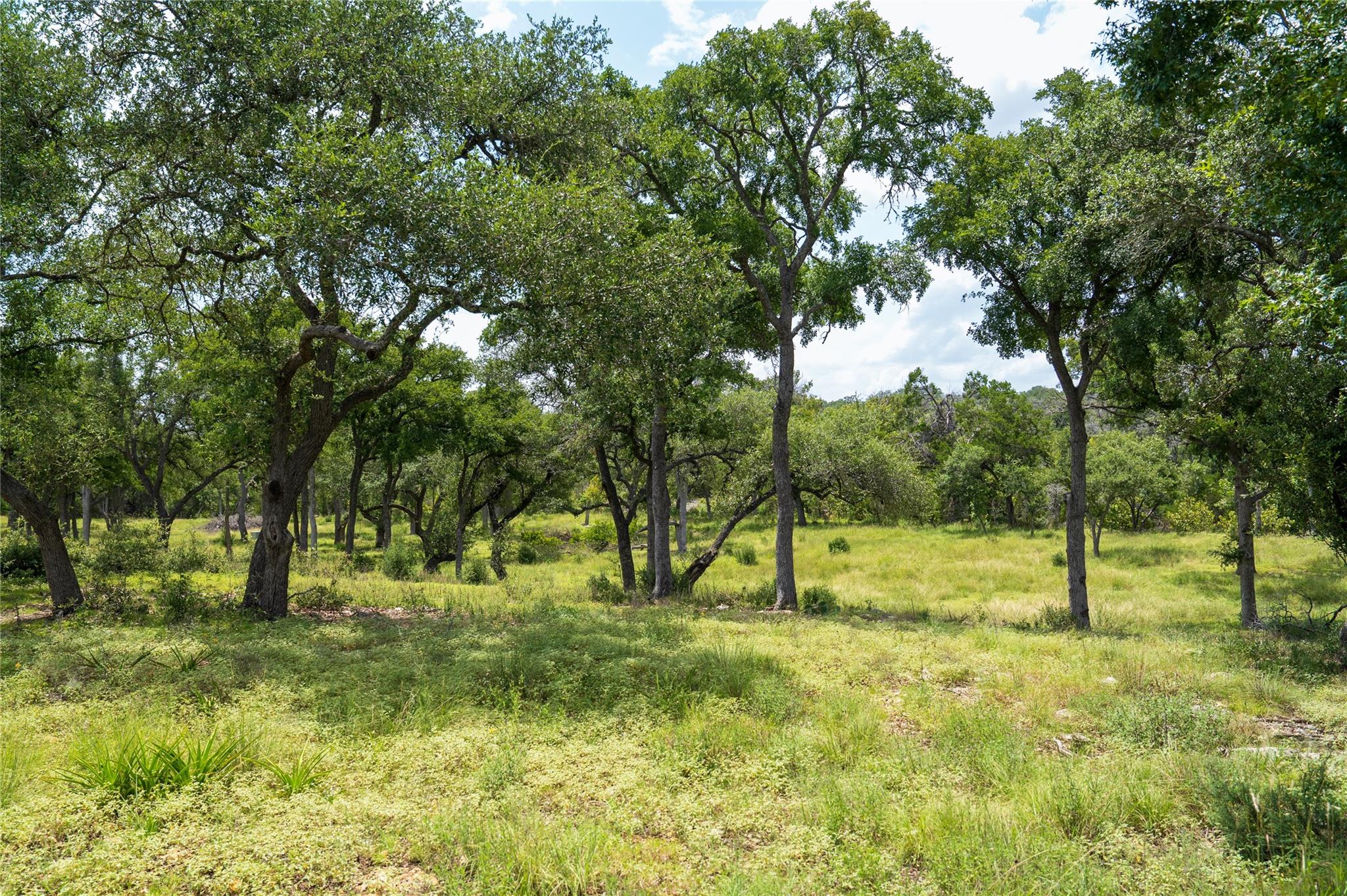 3979 Chimney Valley Rd Property Photo 29
