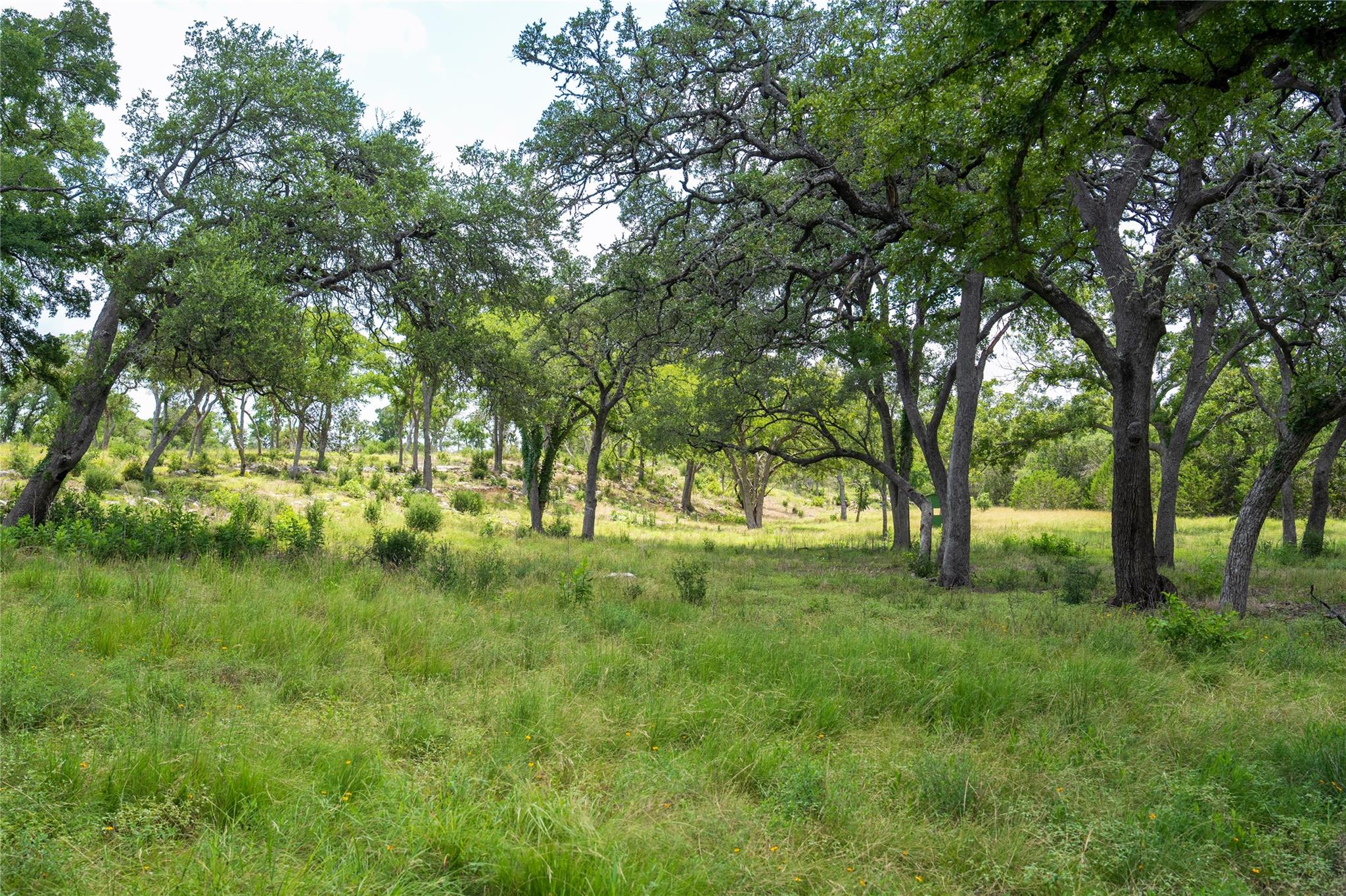 3979 Chimney Valley Rd Property Photo 30