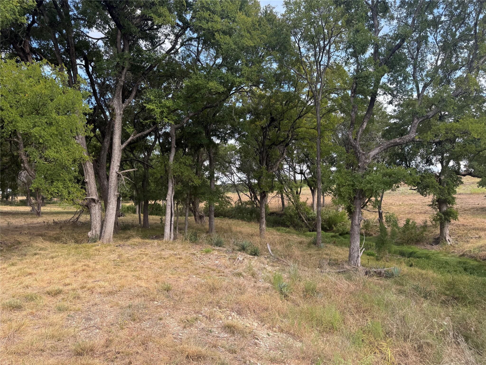 Tbd Tract 6 County Road 1320 None Property Photo 1