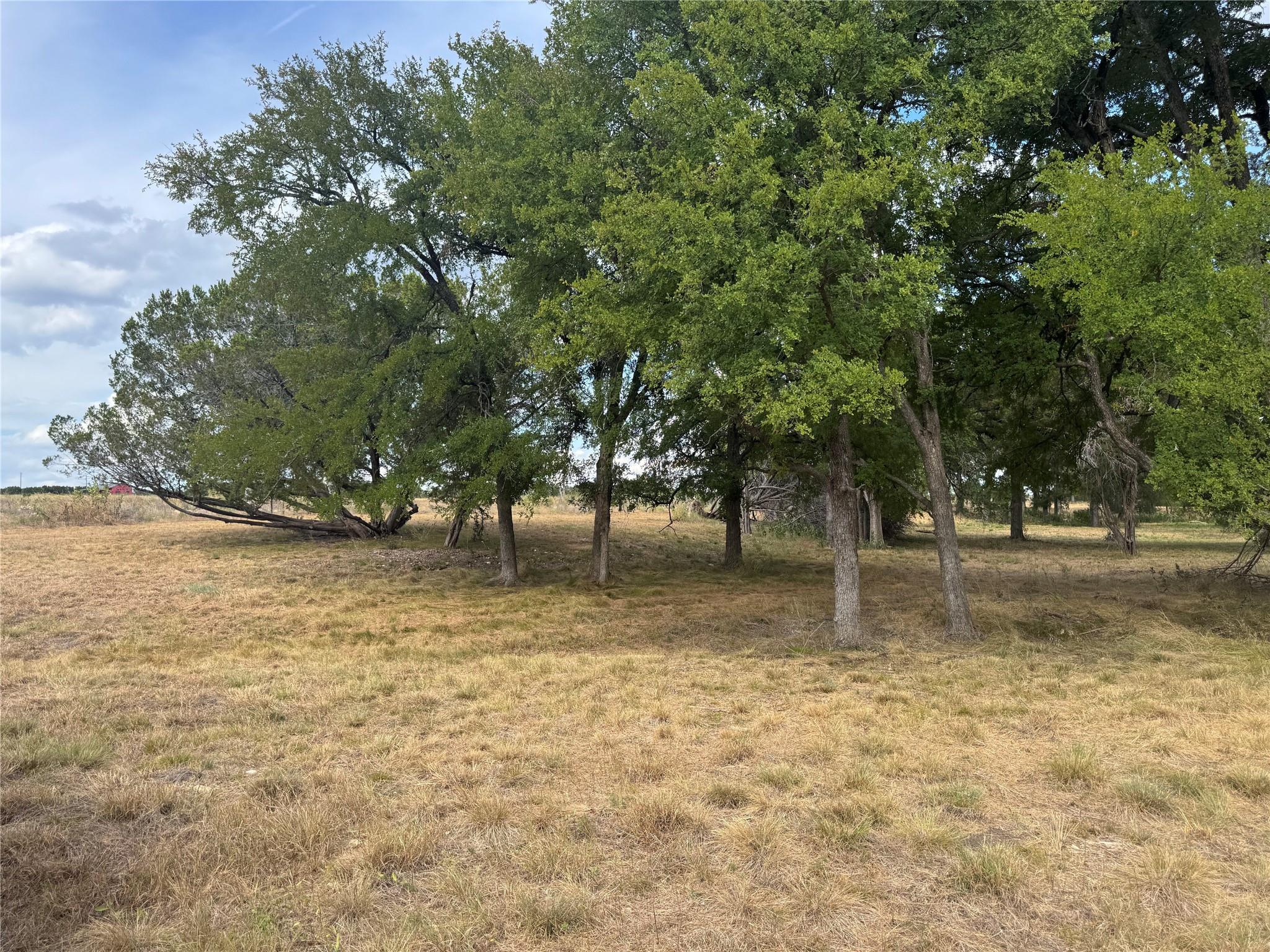 Tbd Tract 6 County Road 1320 None Property Photo 2