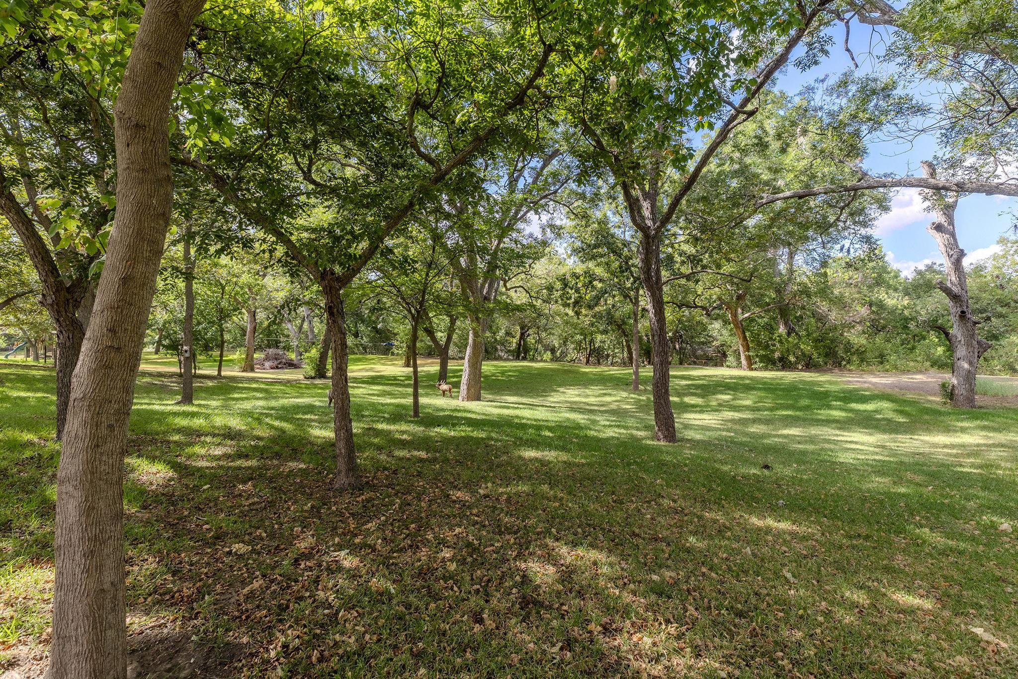 4400 County Road 123 None Property Photo 28