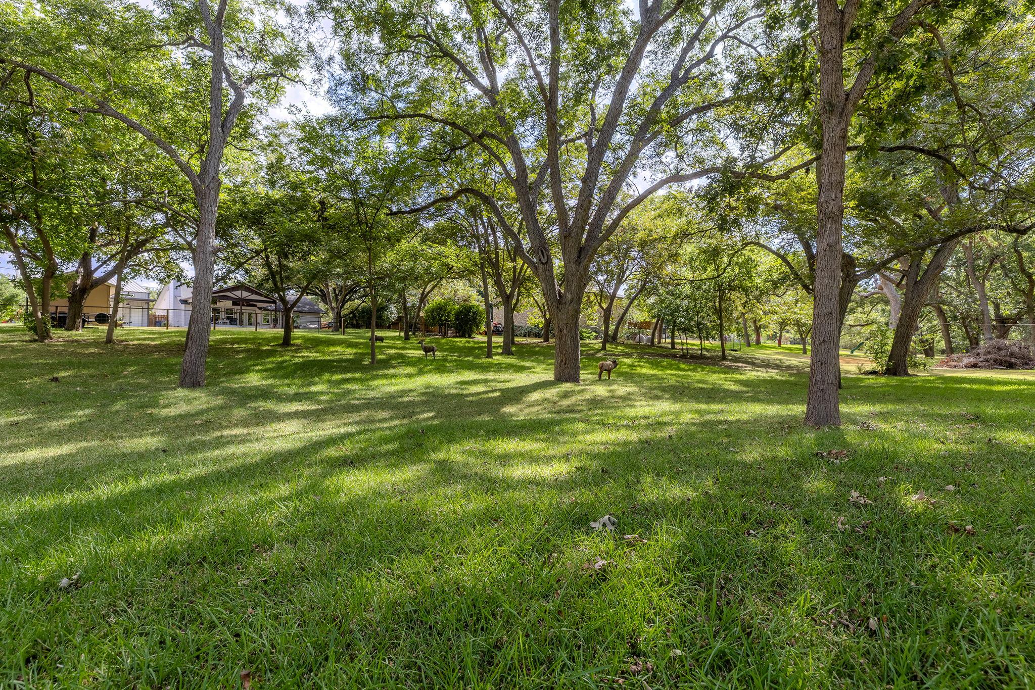 4400 County Road 123 None Property Photo 29
