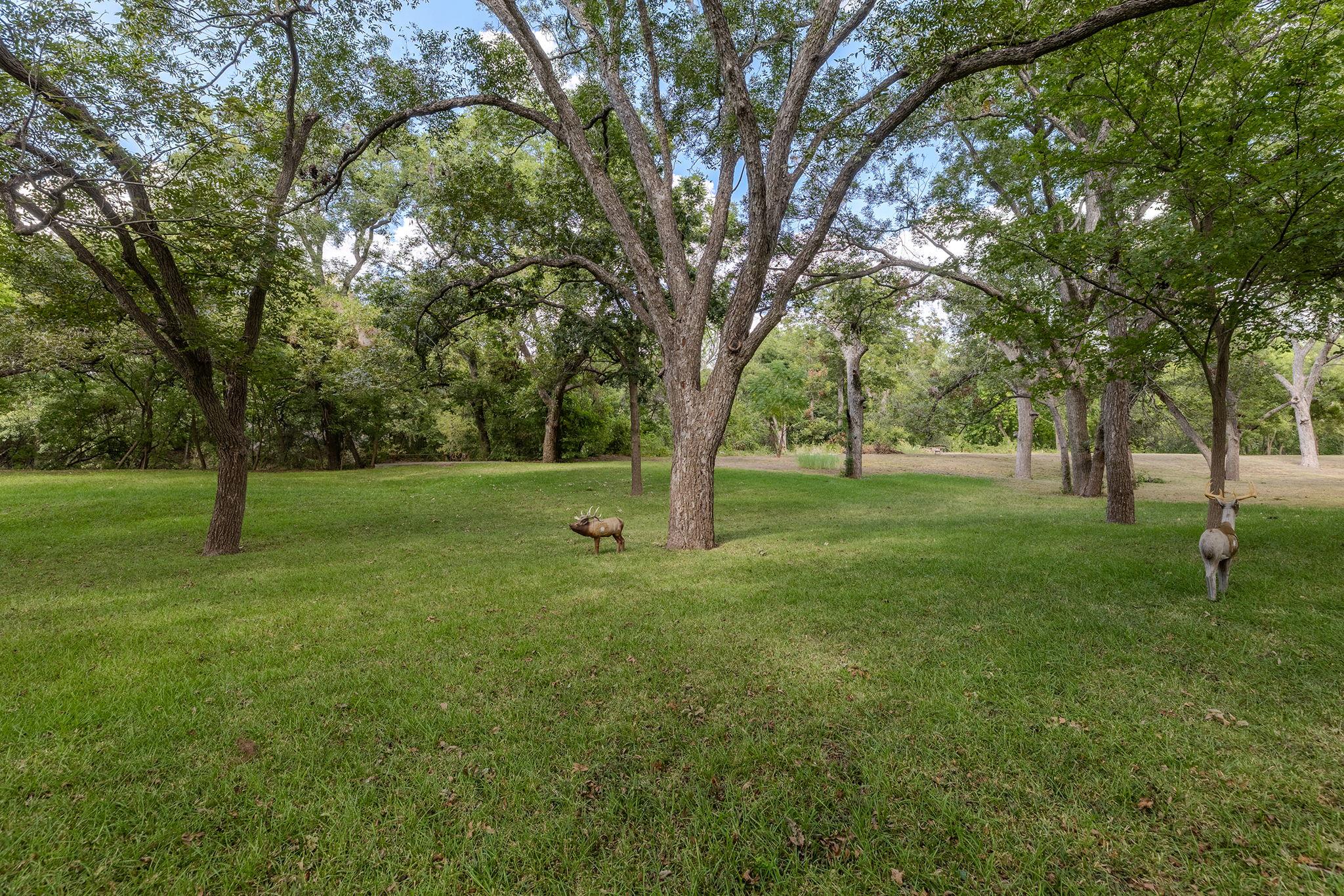 4400 County Road 123 None Property Photo 37
