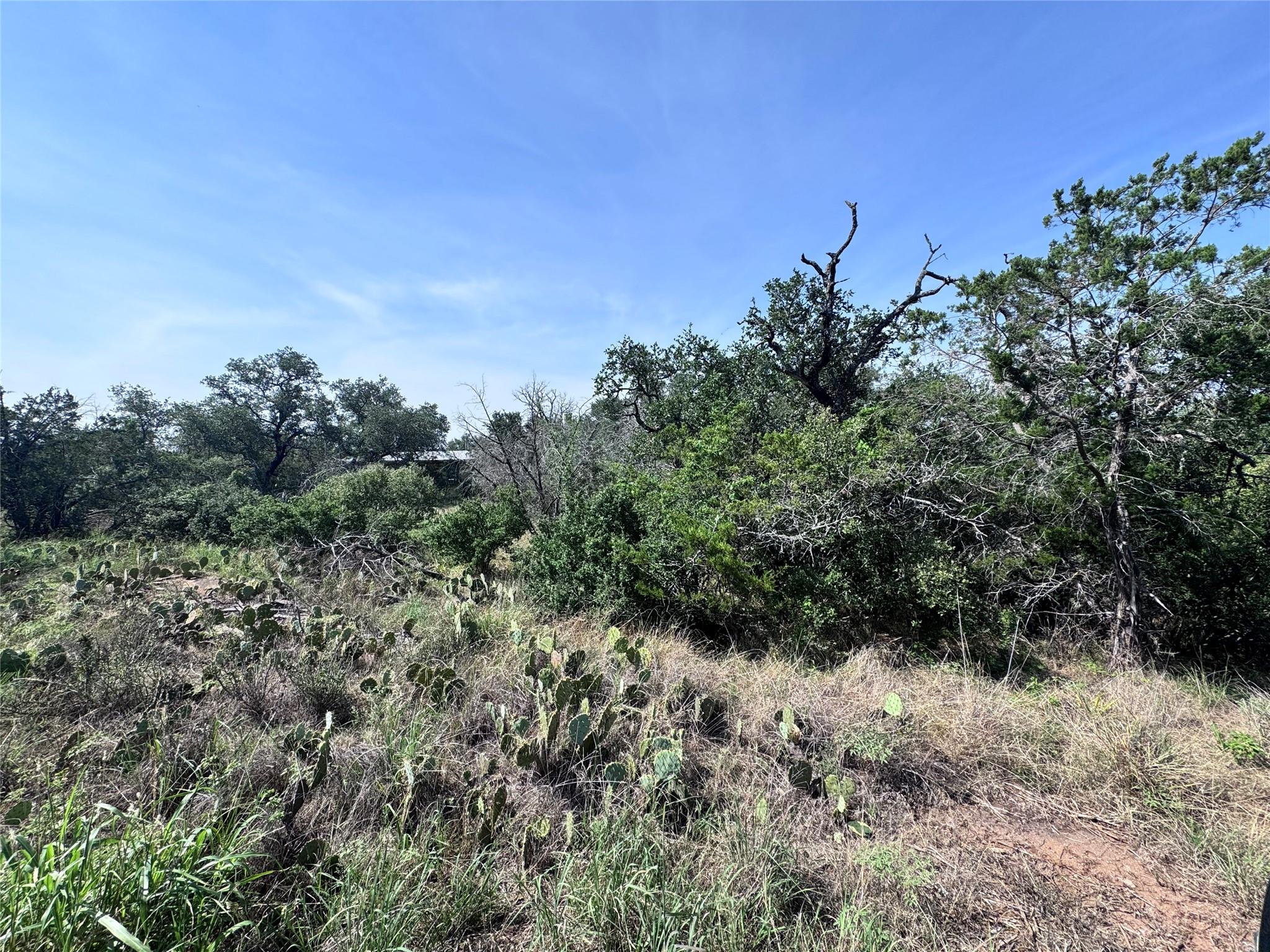 Tbd Hill St Property Photo 4