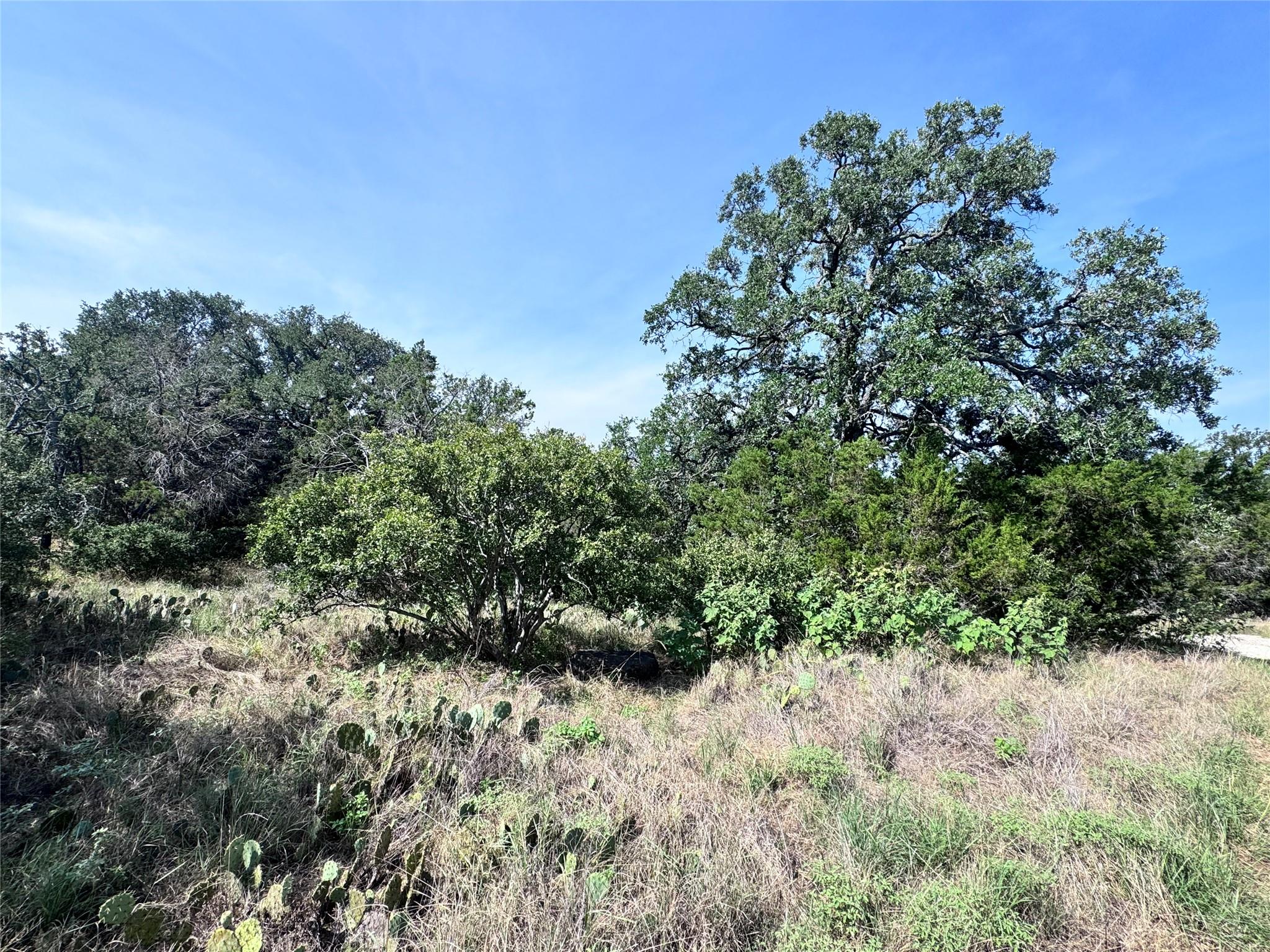 Tbd Hill St Property Photo 6