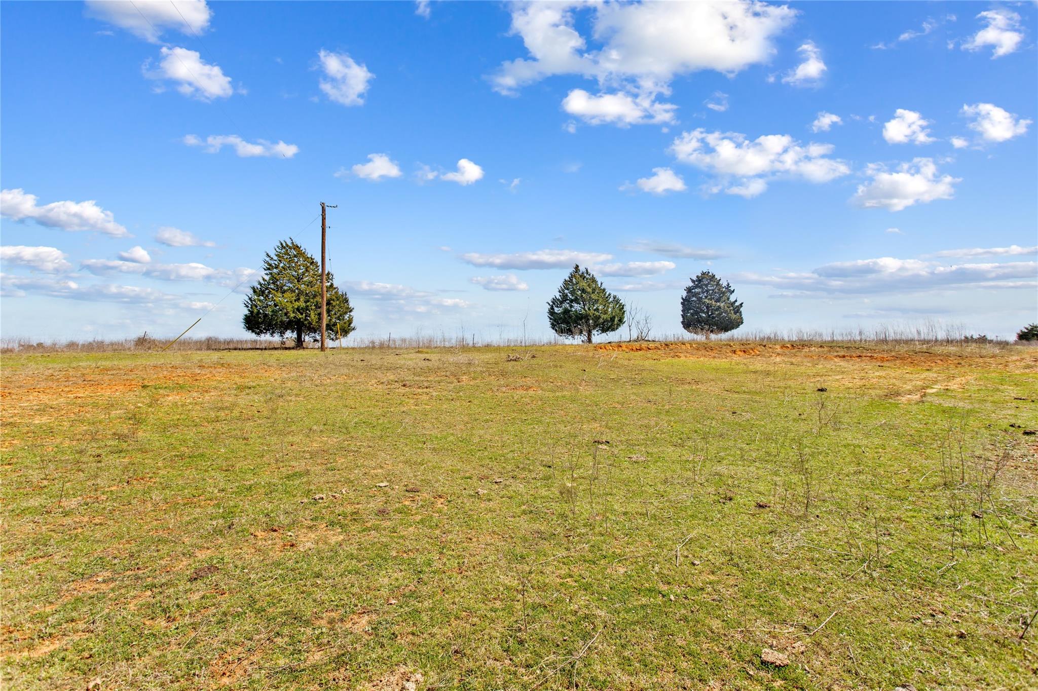 Tbd County Road 430 Property Photo 4