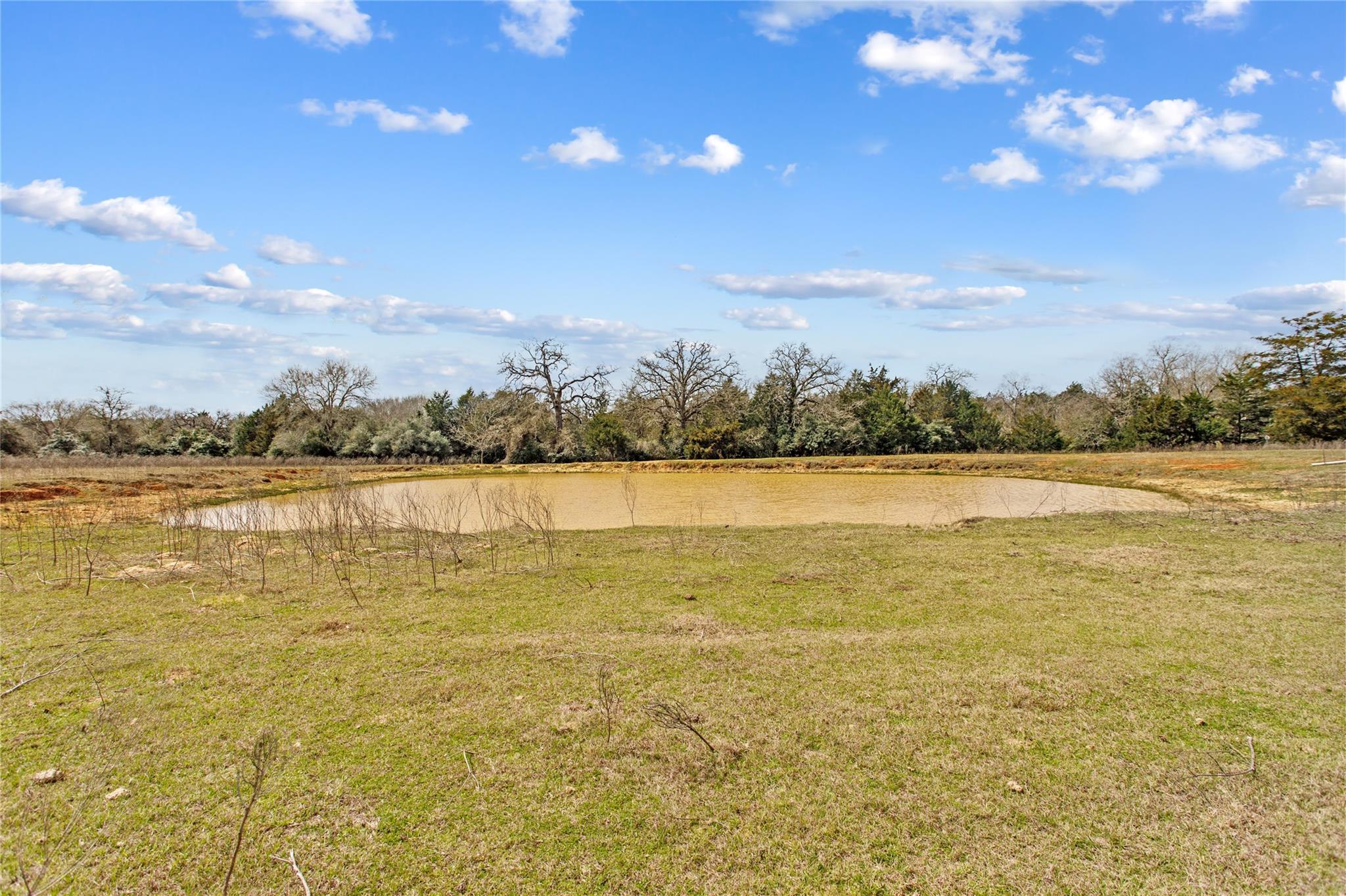 Tbd County Road 430 Property Photo 7