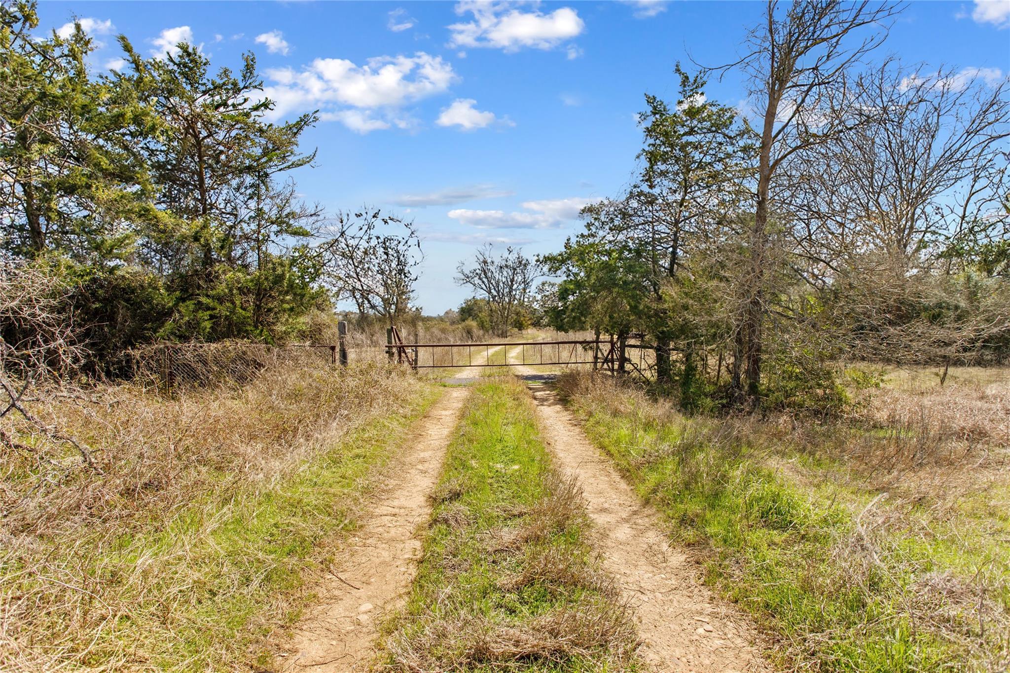 Tbd County Road 430 Property Photo 8