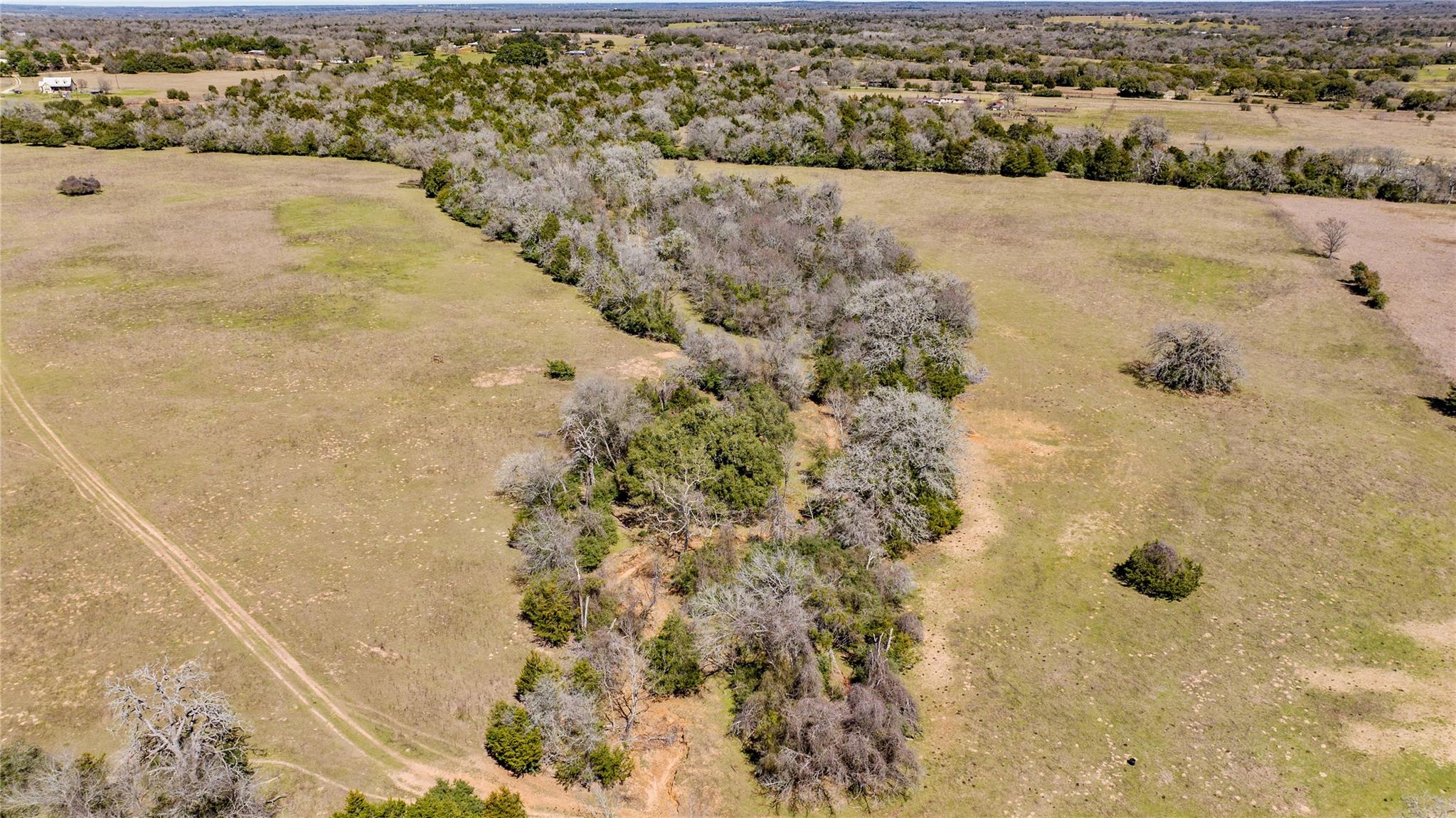 Tbd County Road 430 Property Photo 39