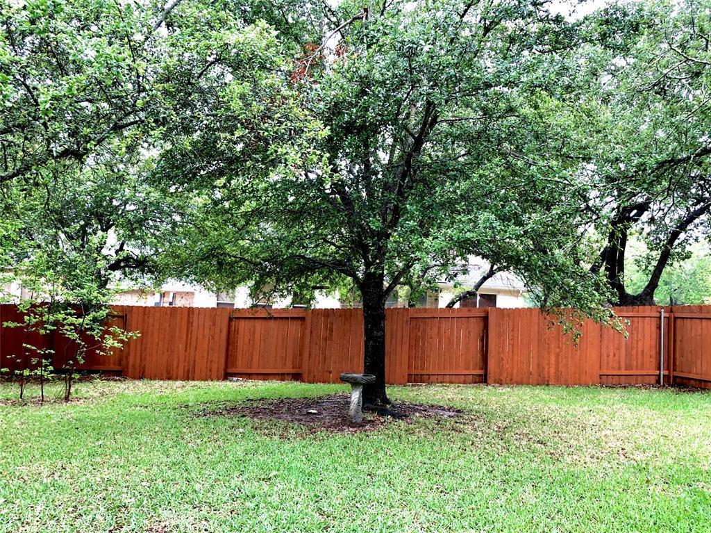 10808 Sky Rock Dr Property Photo 15