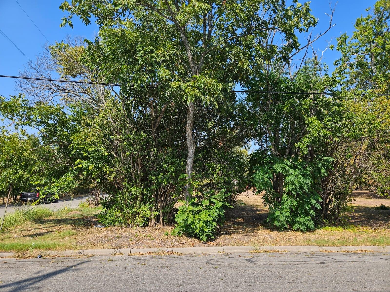 901 N Blanco St Property Photo 2