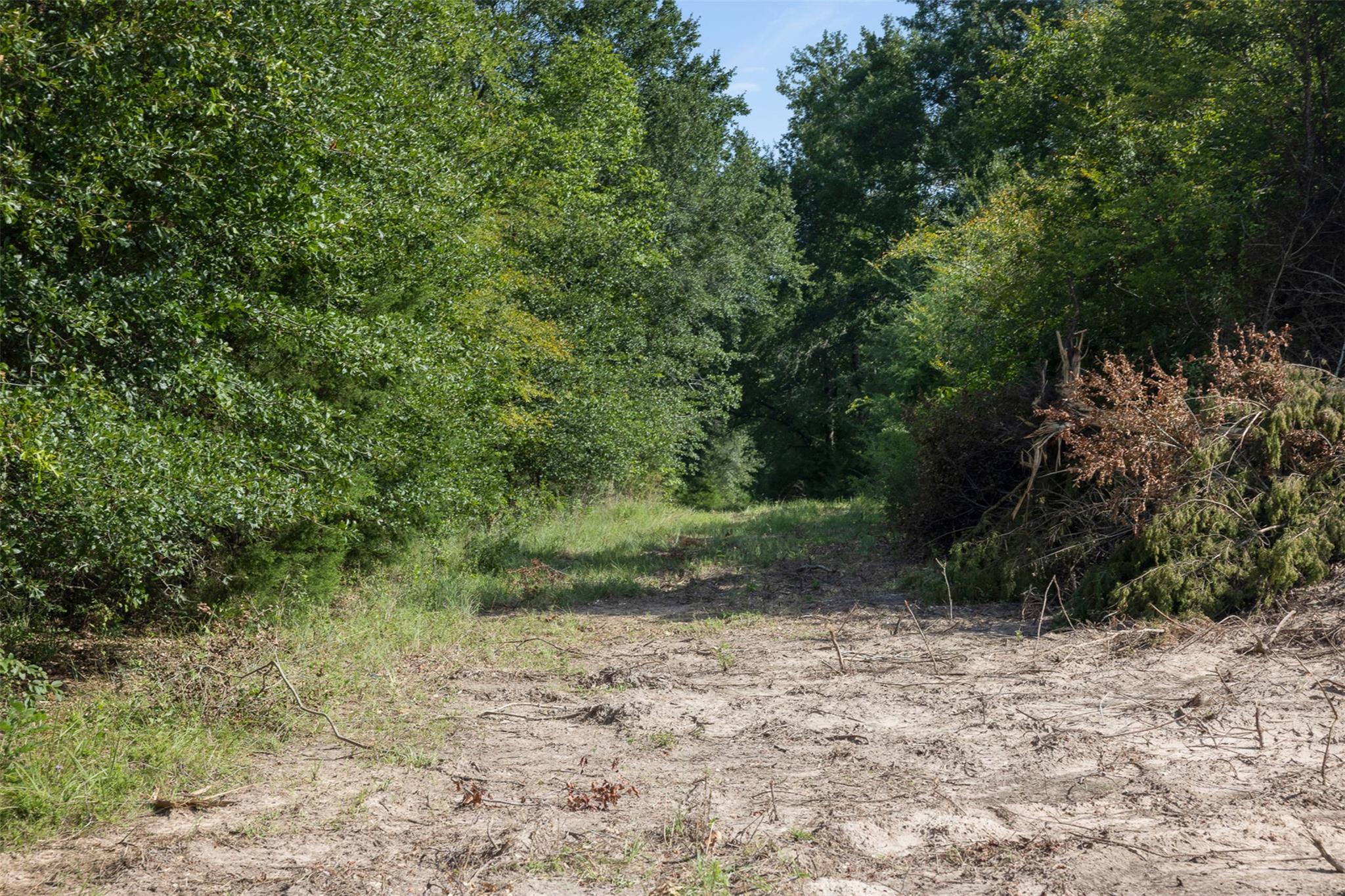 Tbd Fm 39 None Property Photo 10